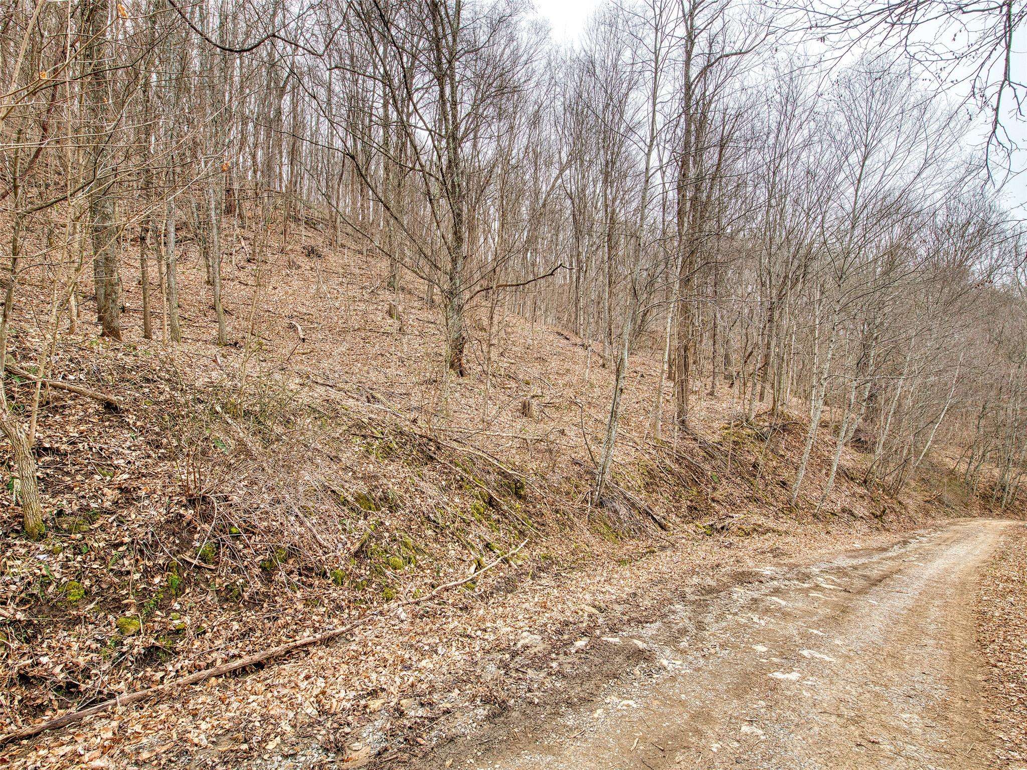 Waynesville, NC 28786,Lot 12 Lothlorian RD