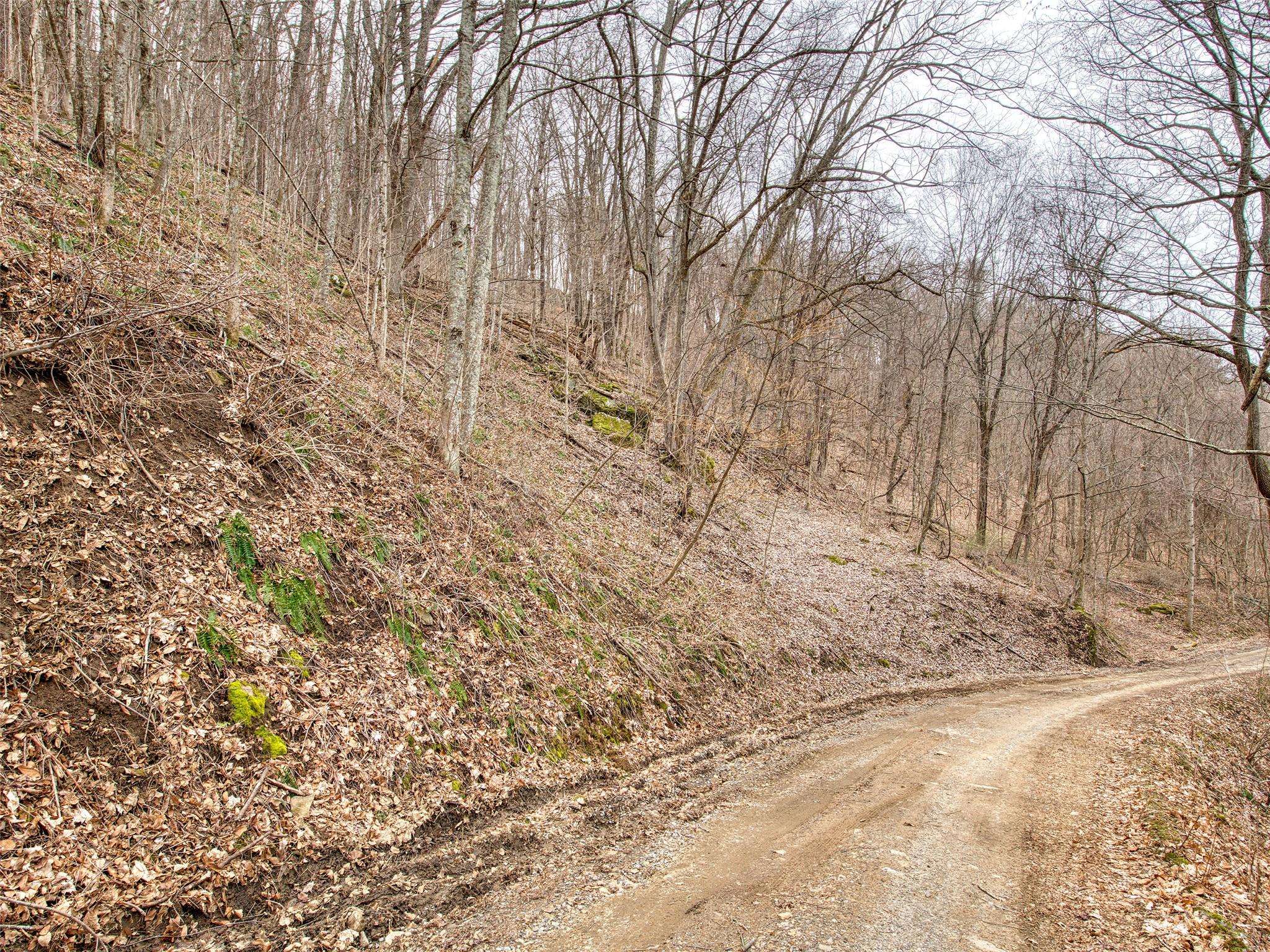 Waynesville, NC 28786,Lot 12 Lothlorian RD