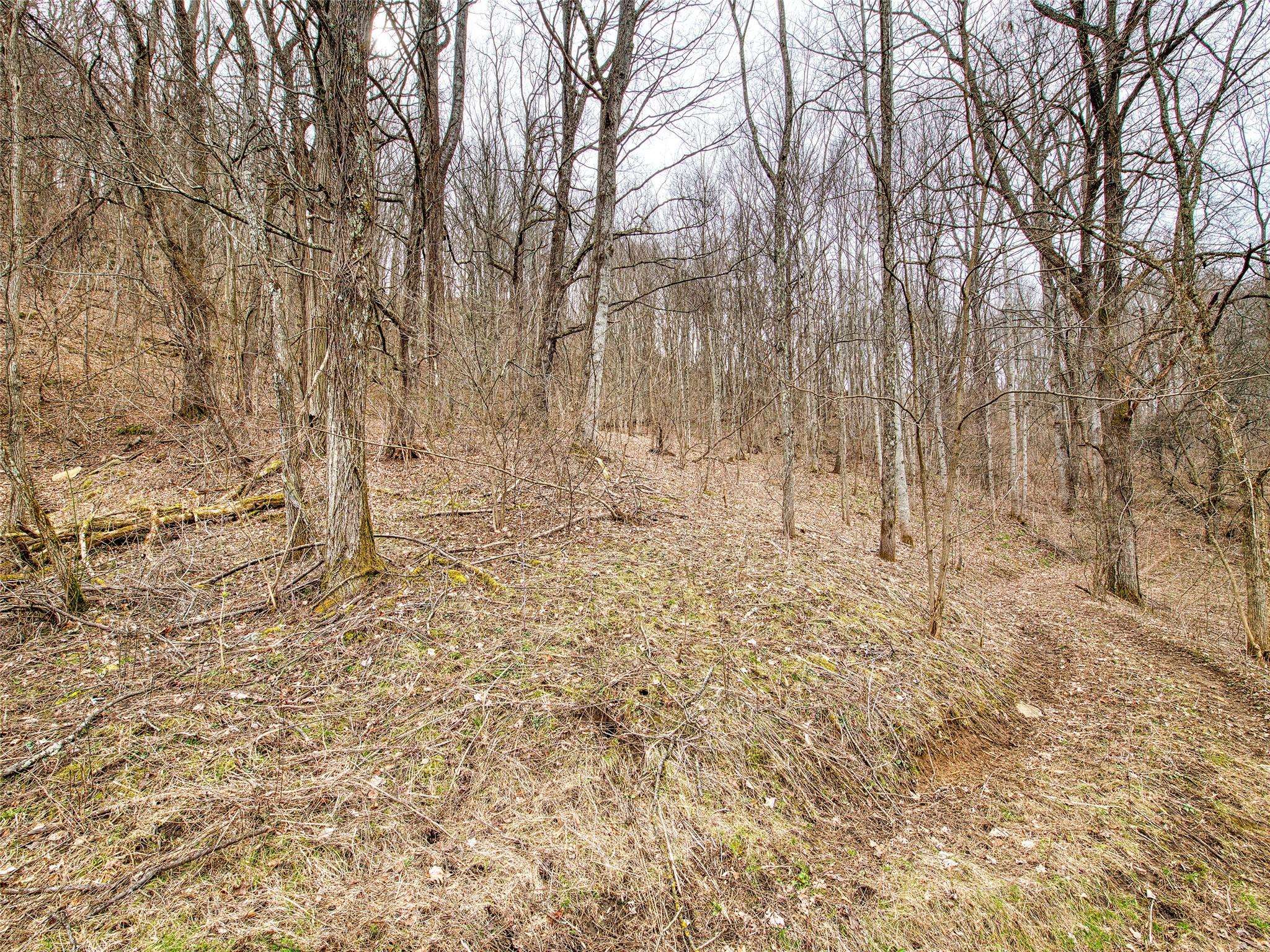 Waynesville, NC 28786,Lot 13 Lothlorian RD