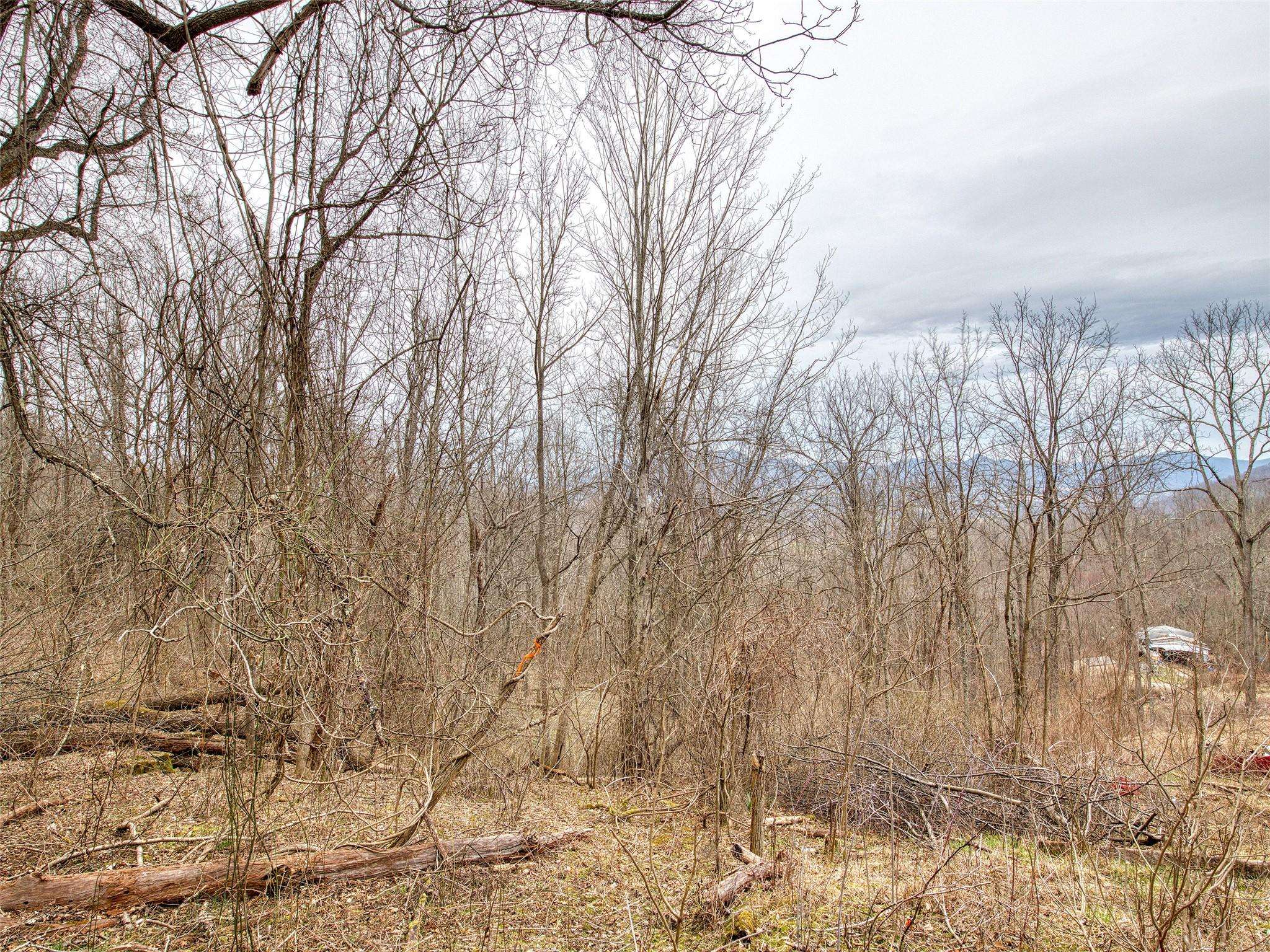 Waynesville, NC 28786,Lot 13 Lothlorian RD