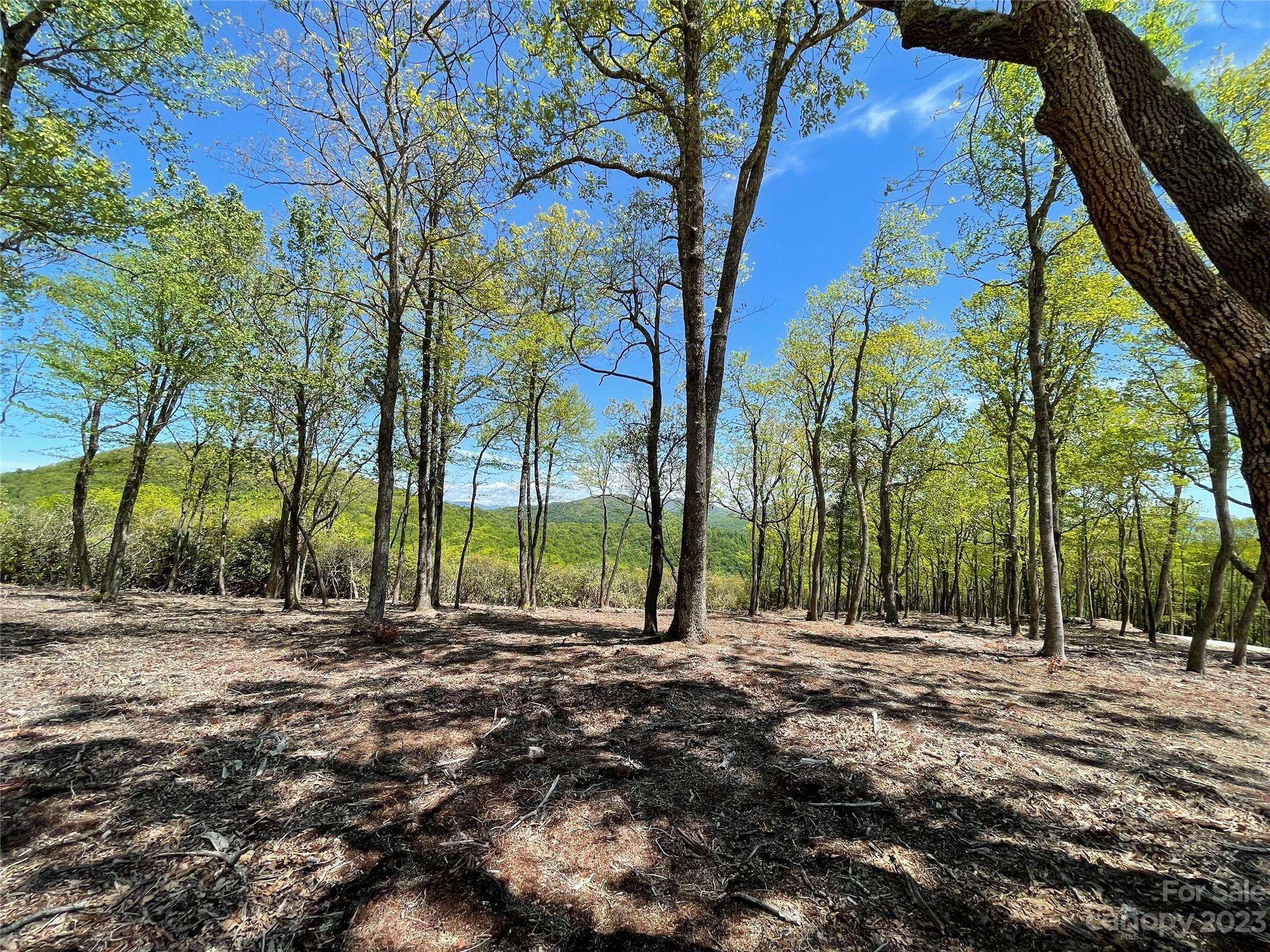 Hendersonville, NC 28792,0000 East Garden TRL #Lot 47