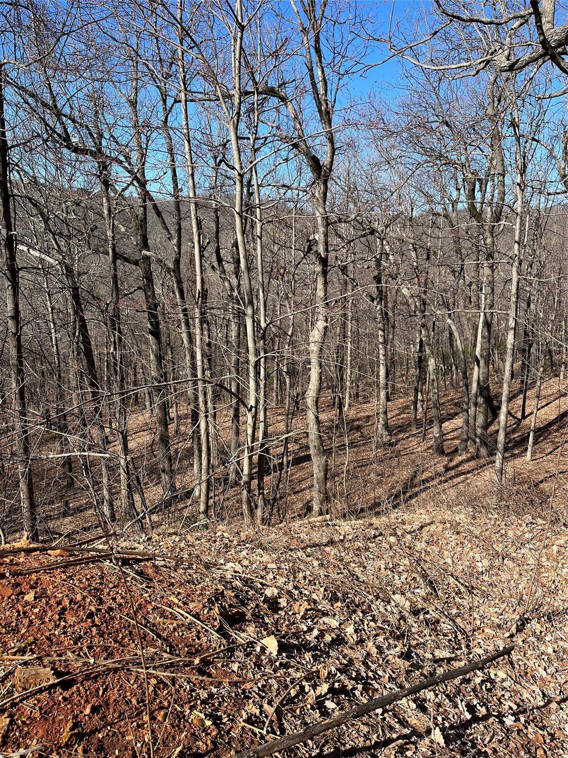 Columbus, NC 28722,Lot 39 White Oak Mountain RD #Lot 39