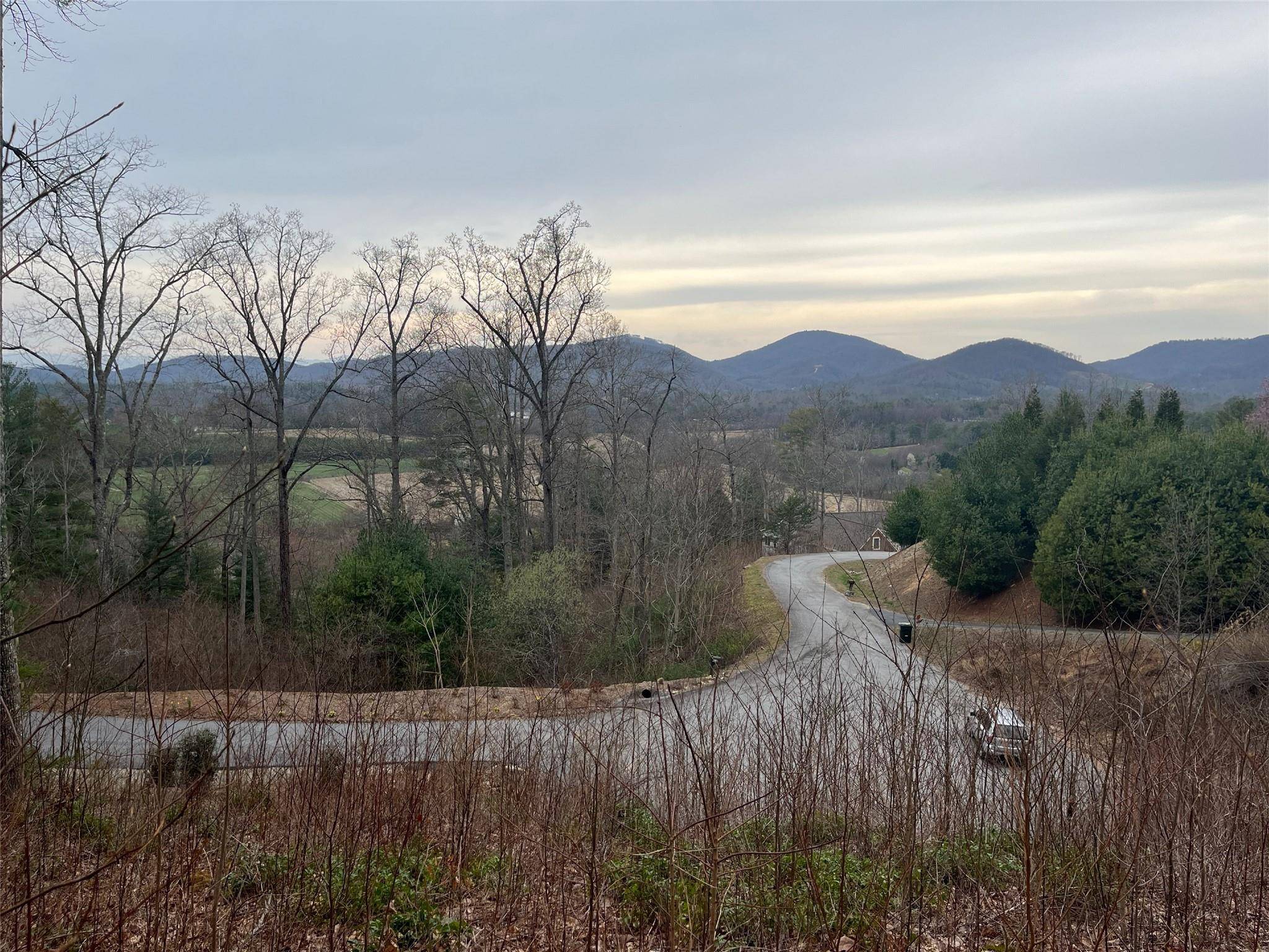 Hendersonville, NC 28792,00 Overlook Point RD