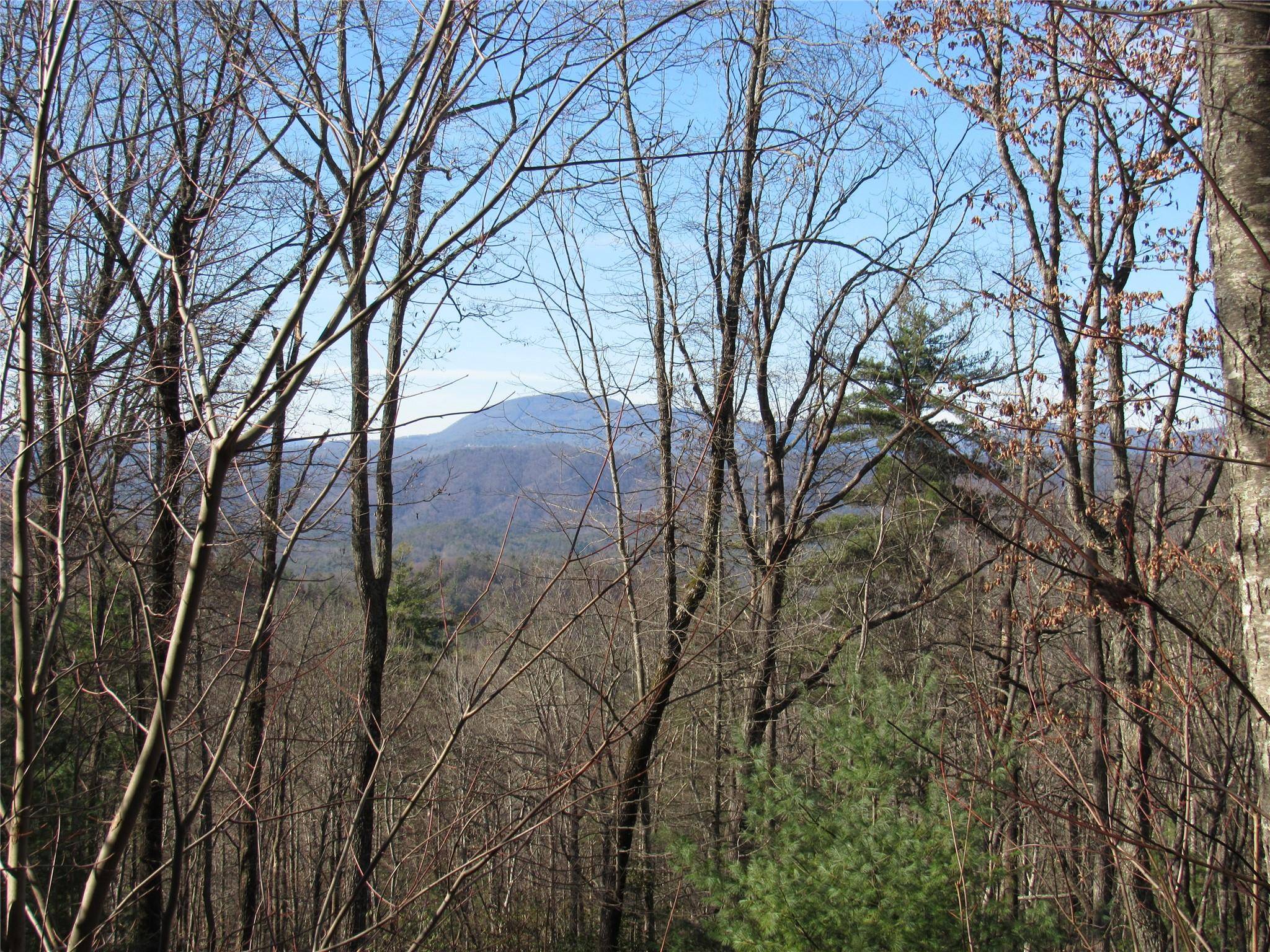 Rosman, NC 28772,TBD Peppervine CIR #99