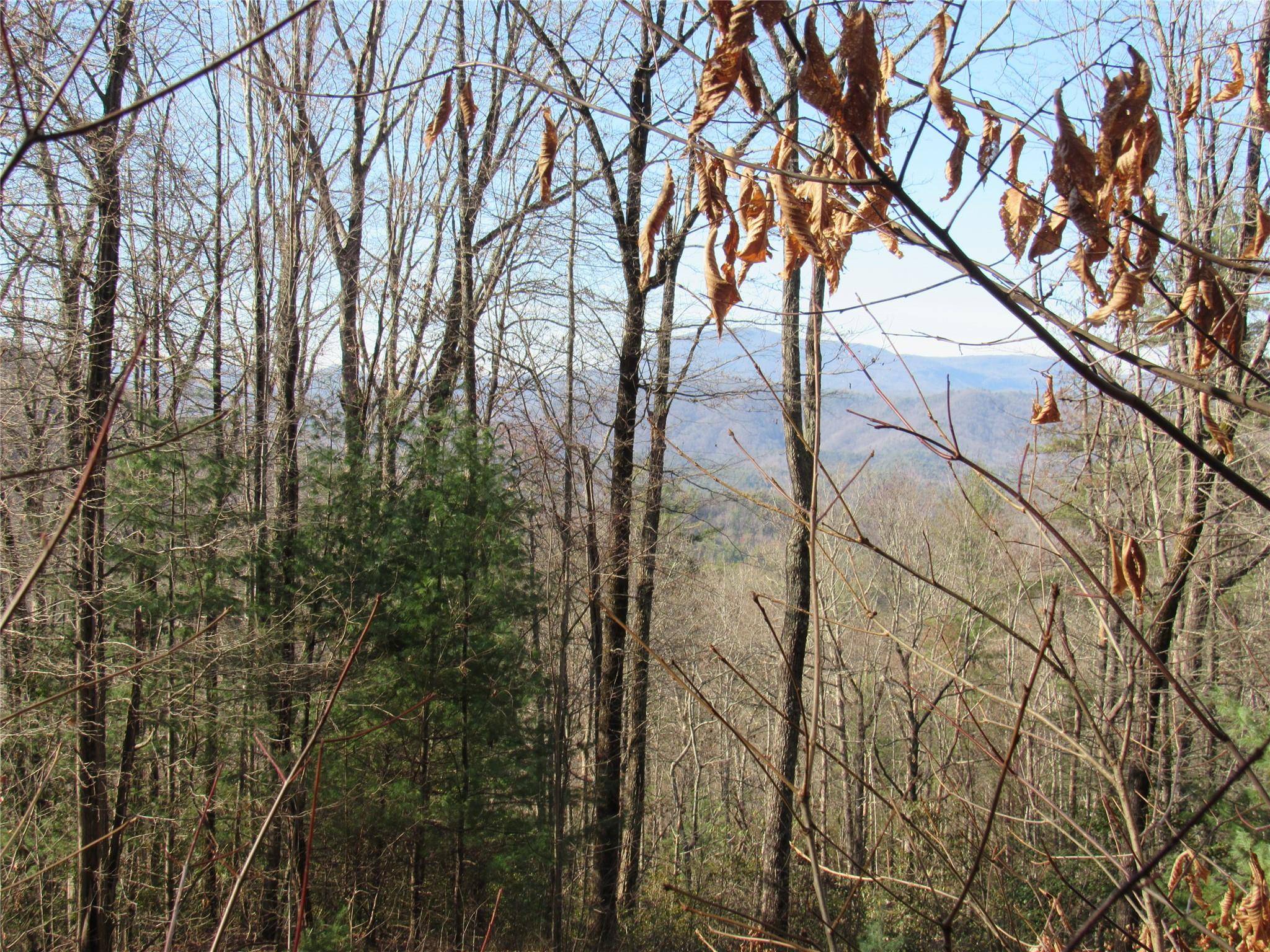 Rosman, NC 28772,TBD Peppervine CIR #99