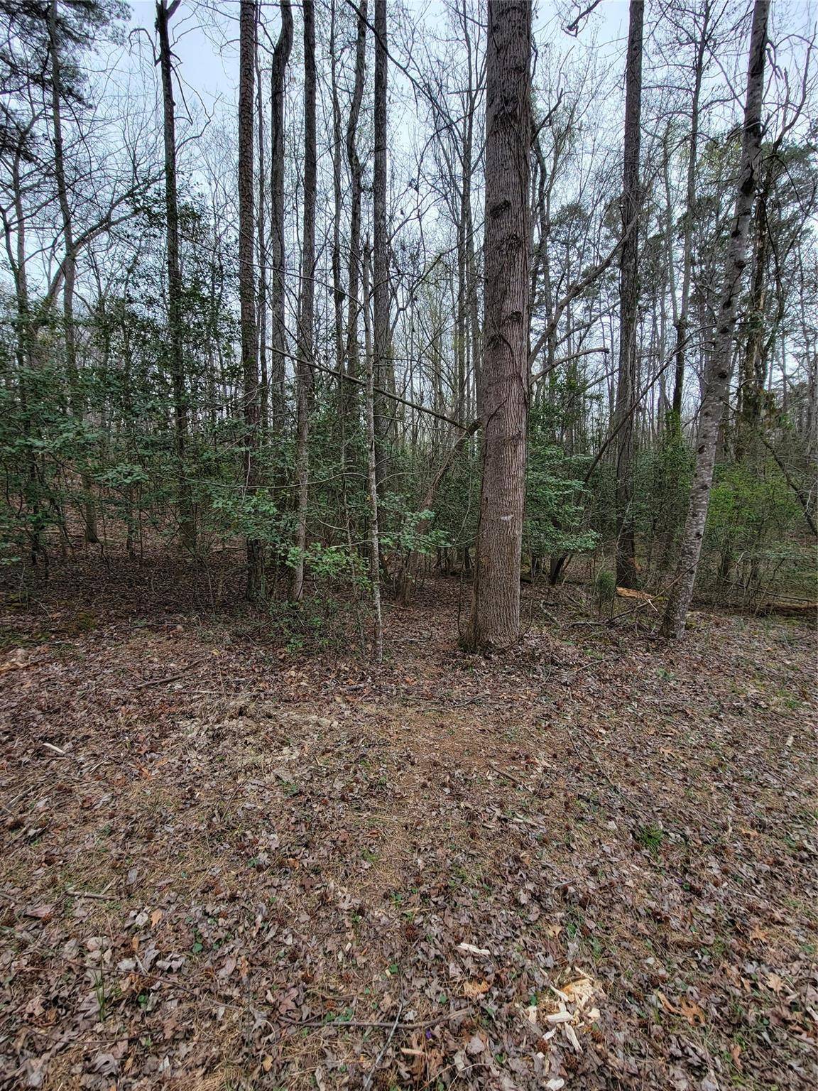 Troy, NC 27371,TBD Elmwood DR