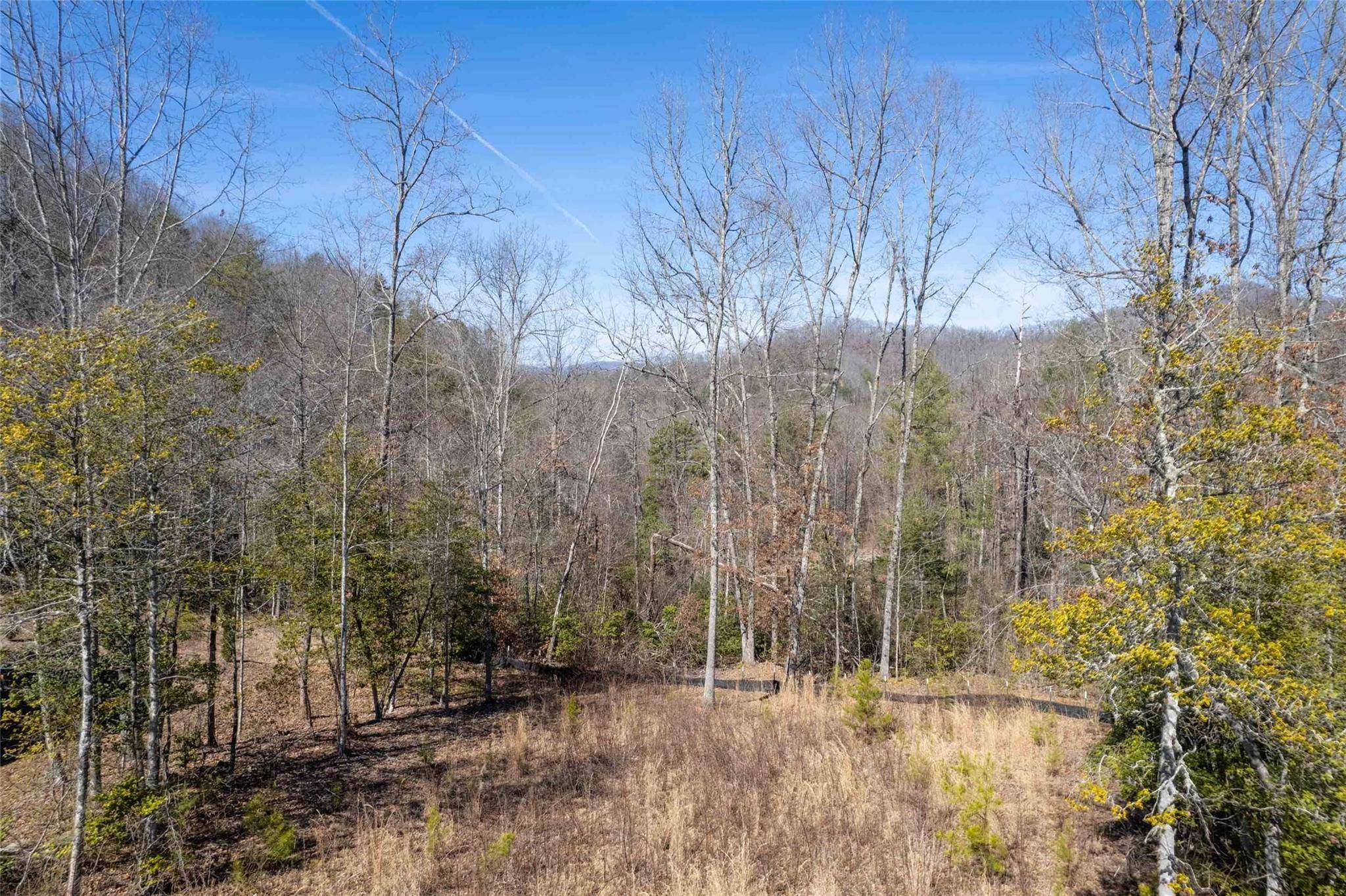 Cullowhee, NC 28723,00 River Club DR #67