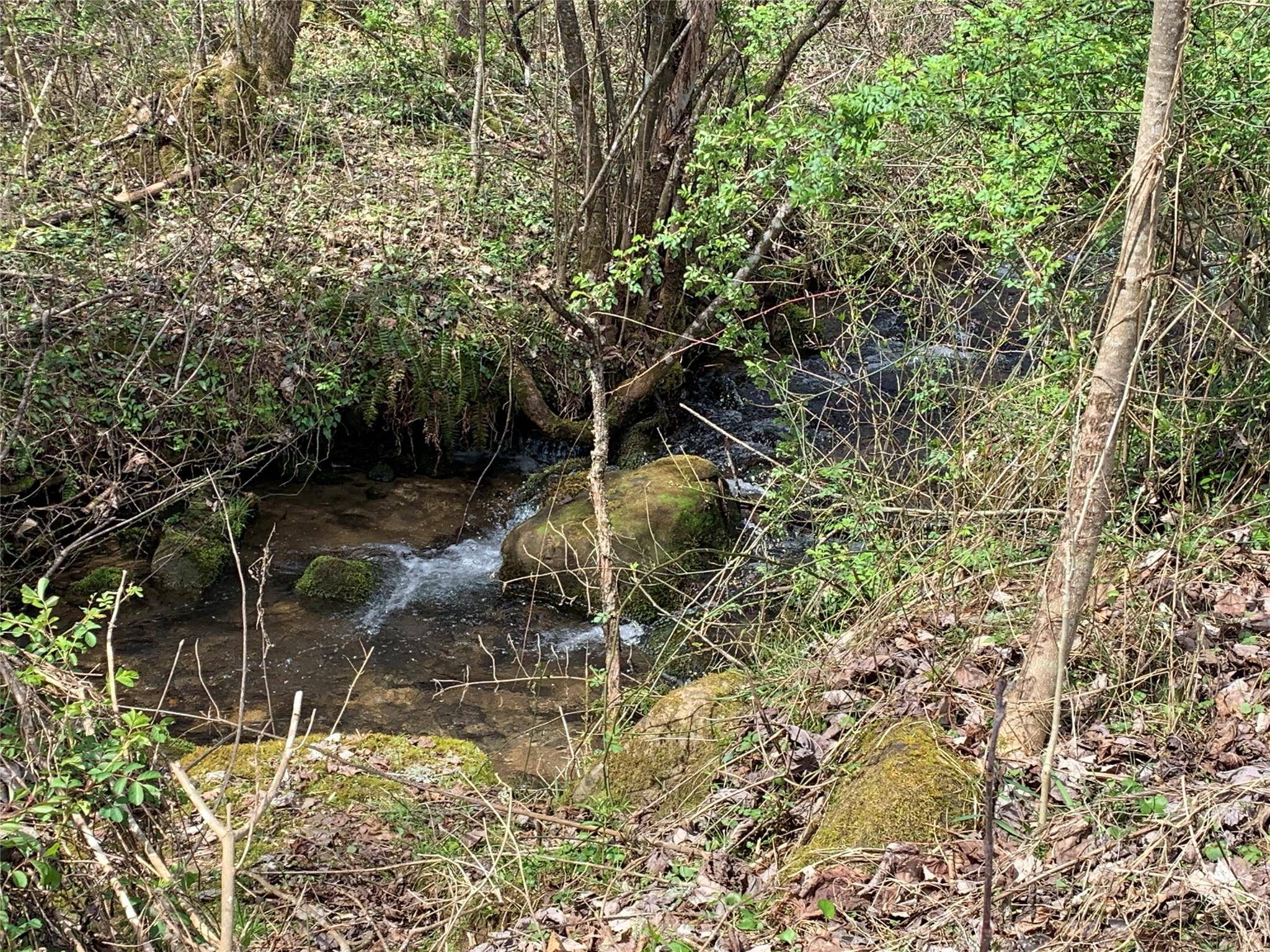 Robbinsville, NC 28771,23 Orr BR