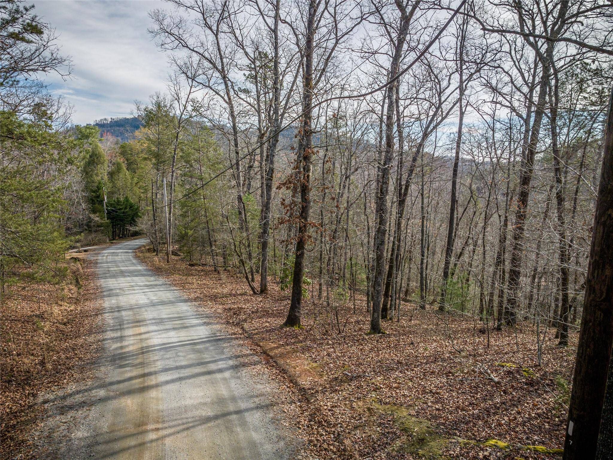 Lake Lure, NC 28746,00 Pheasant ST #163