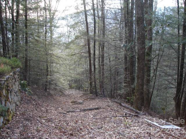 Maggie Valley, NC 28751,Lot 0 Bent Tree RD