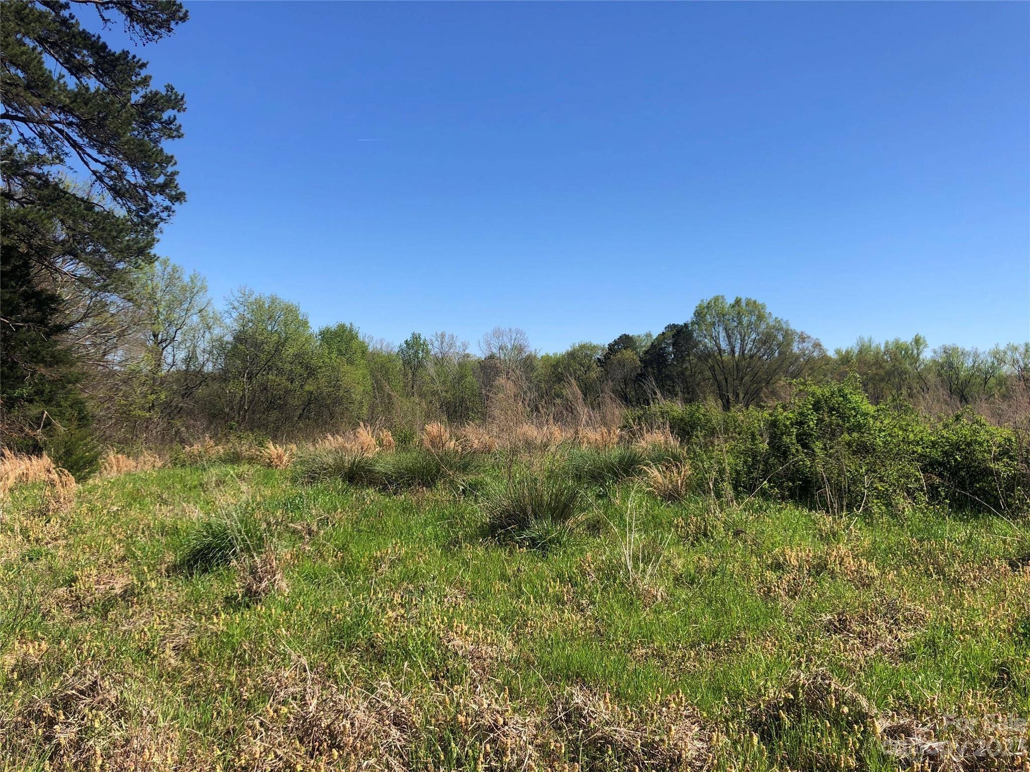 Mount Pleasant, NC 28124,Lot 1B Mallory LN