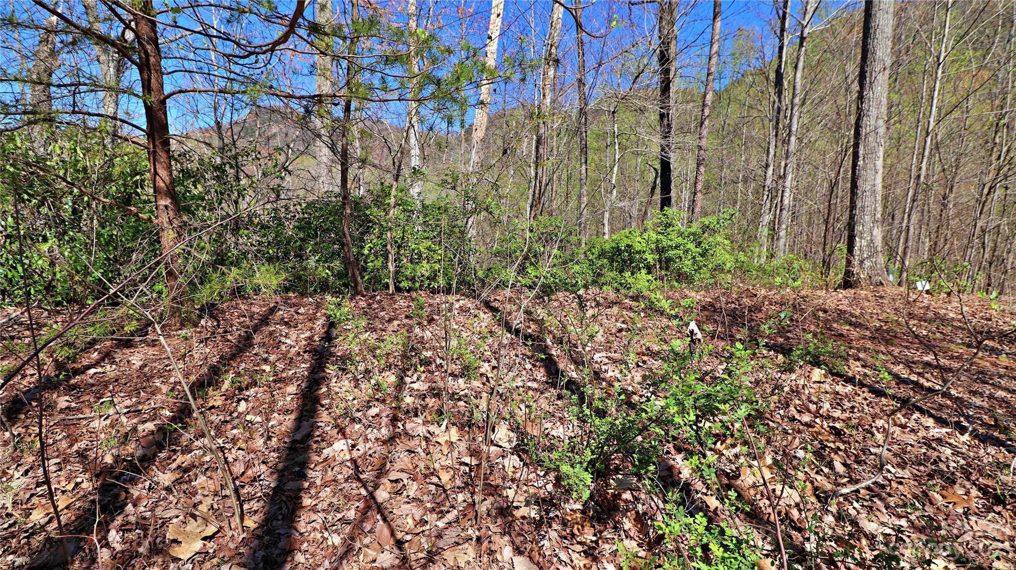 Lake Lure, NC 28746,144 Tranquility RDG