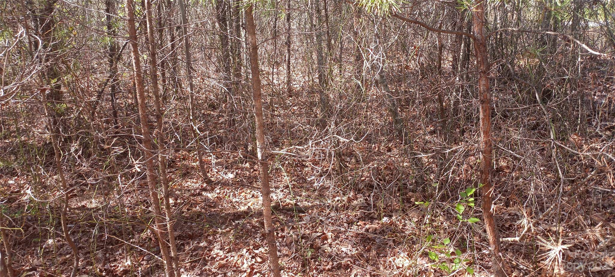 Nebo, NC 28761,TBD Biggerstaff LOOP #lot #  25