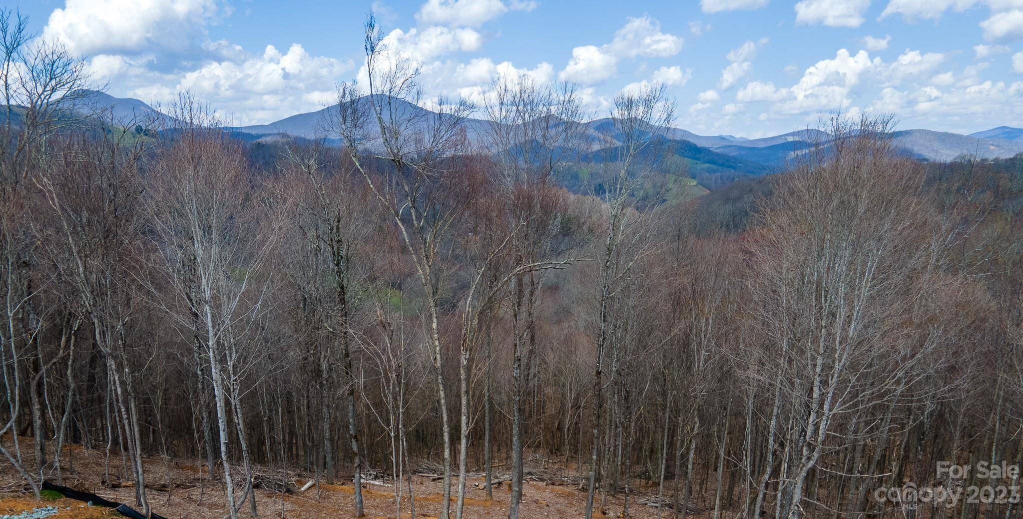 Boone, NC 28607,TBD (Lot 33) Poplar Forest DR