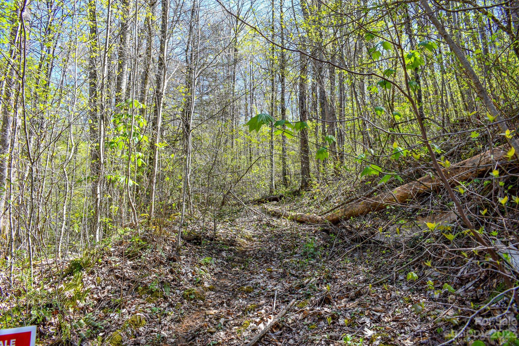 Bryson City, NC 28713,Lot 9 Walnut Cove RDG #9