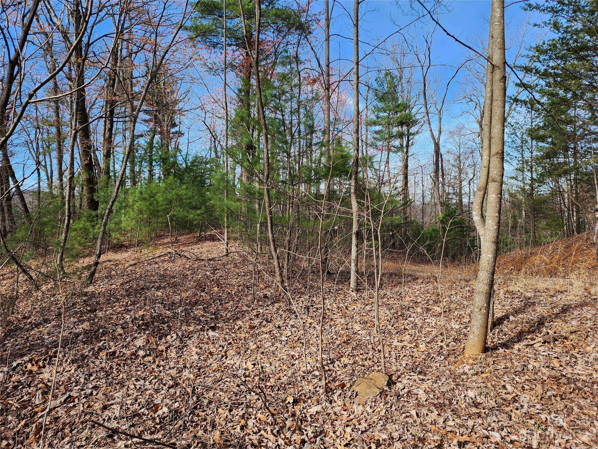 Purlear, NC 28665,TBD Deer RUN