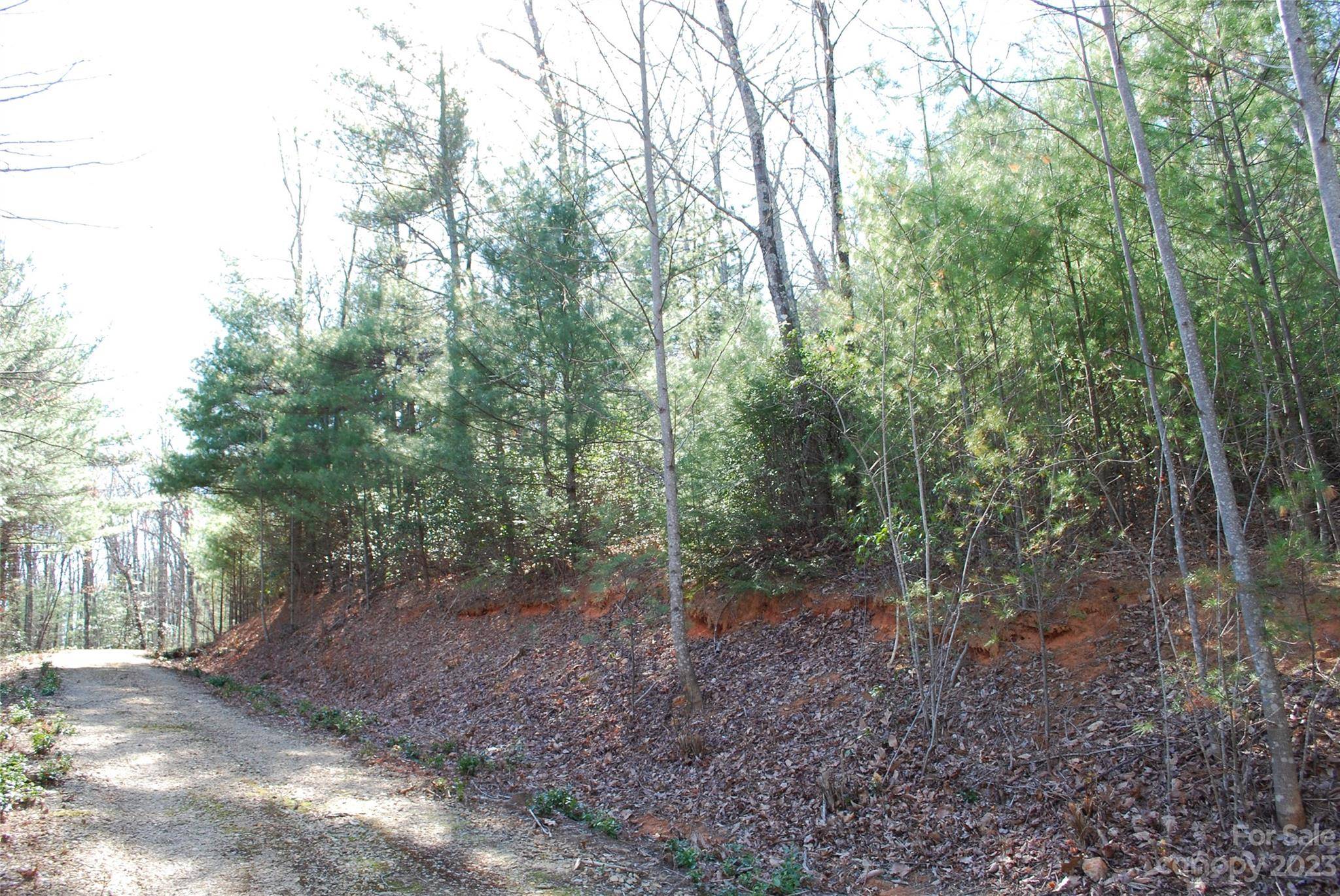 Purlear, NC 28665,TBD Pepper Bush DR