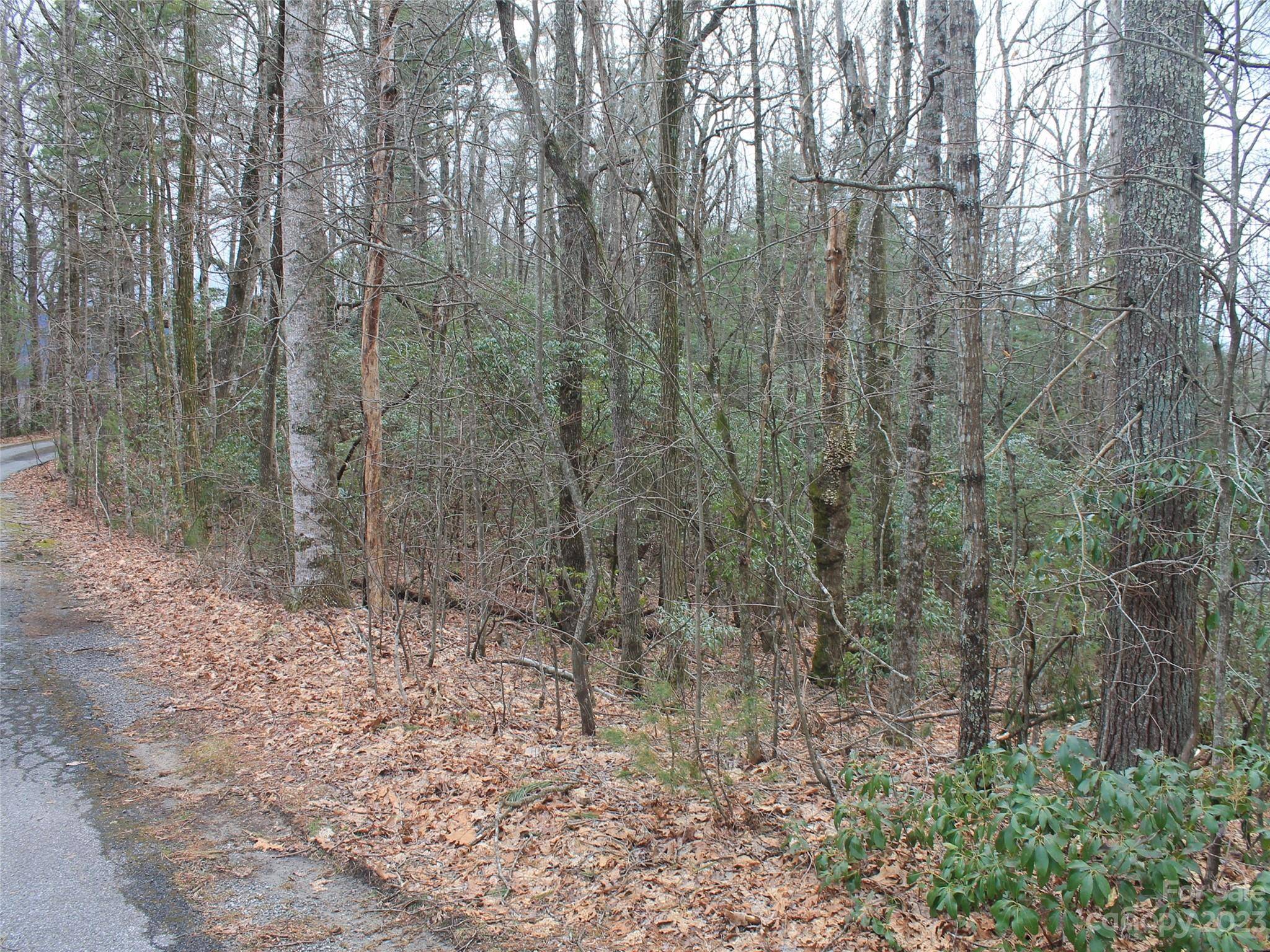 Hendersonville, NC 28739,000 Wildlife TRL #1.16 ACRES