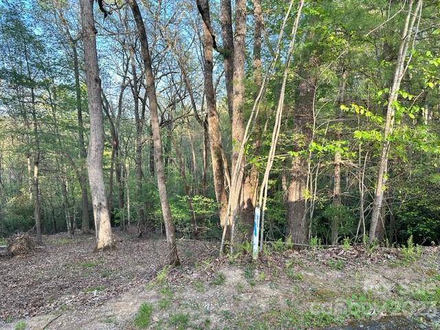 Horse Shoe, NC 28742,508 HEARTHSTONE WAY