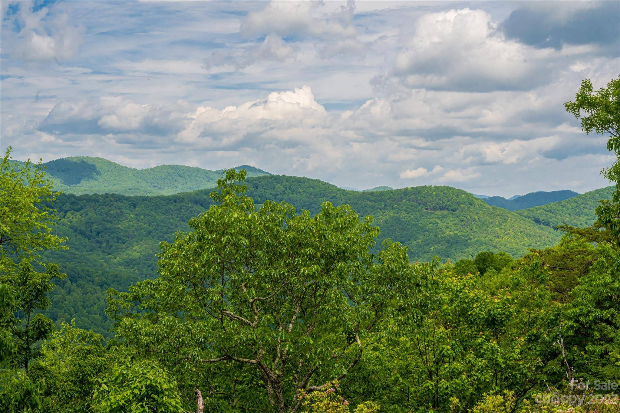 Arden, NC 28704,712 Blue Mist WAY