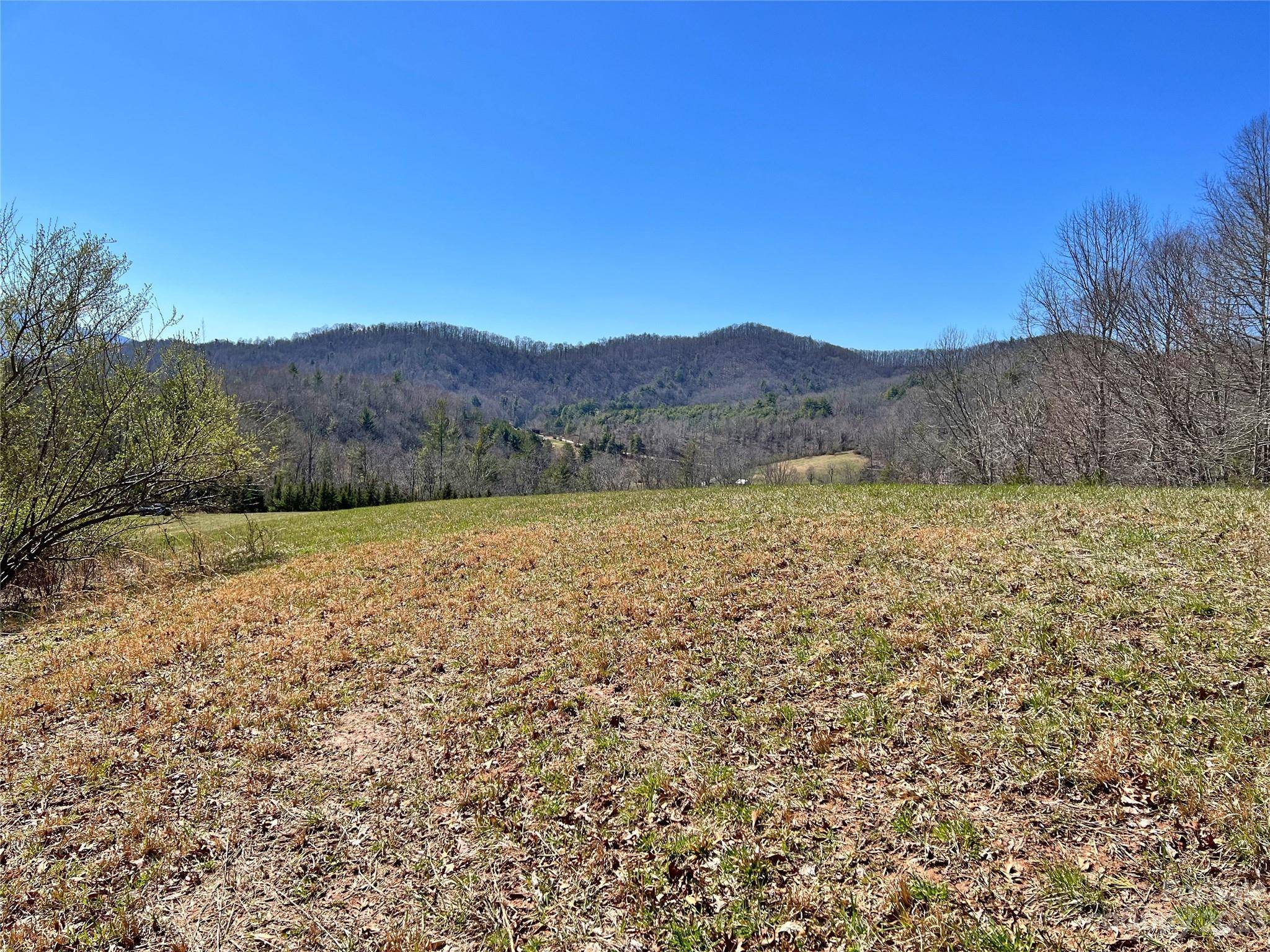 Bakersville, NC 28705,000 Slagle RD