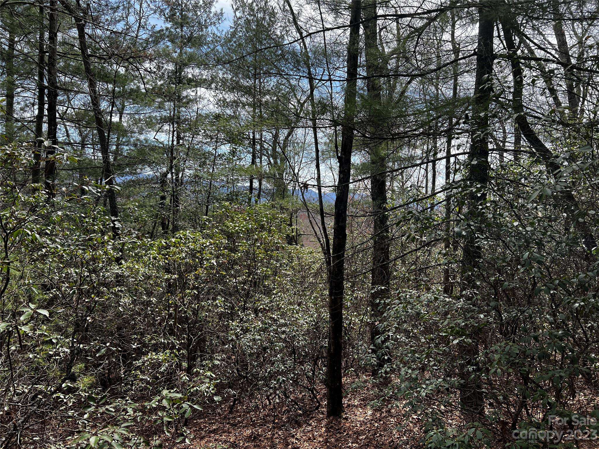 Brevard, NC 28712,Lot M35 Pine Mountain RD #M35