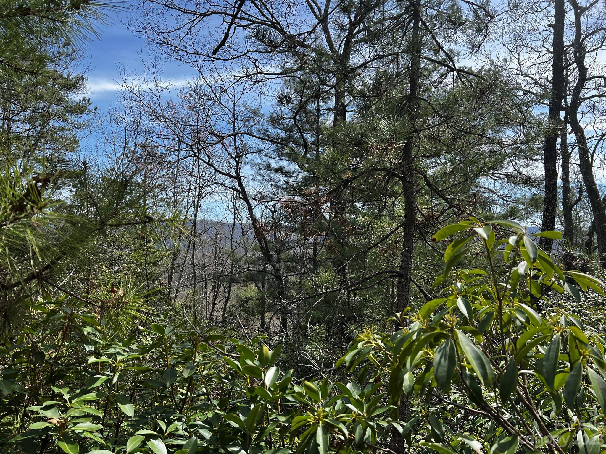 Brevard, NC 28712,Lot M35 Pine Mountain RD #M35