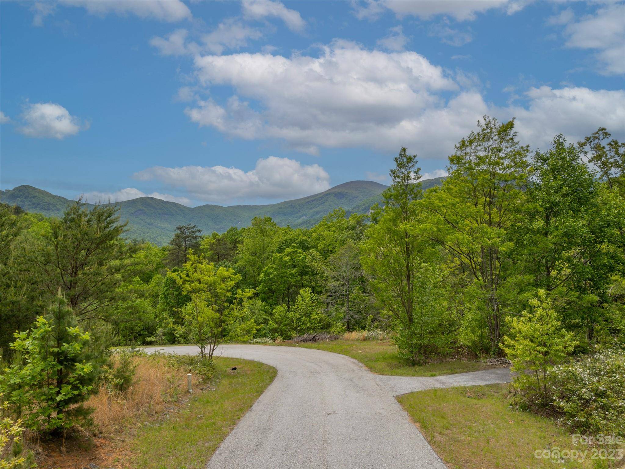 Lake Lure, NC 28746,0 Boulder Run DR #49