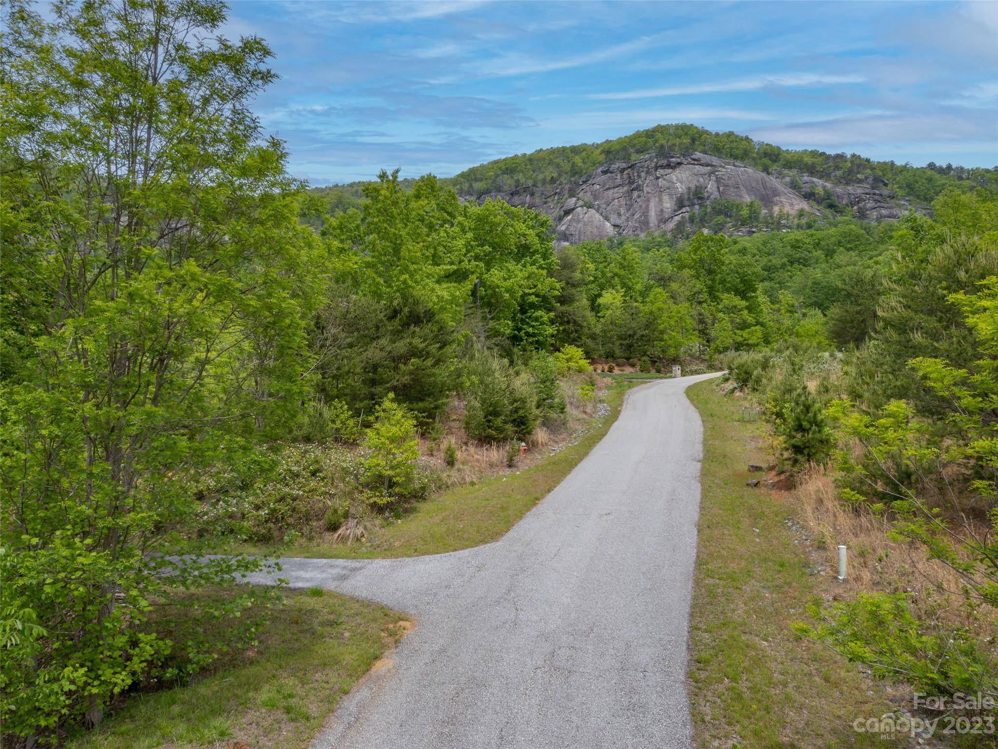 Lake Lure, NC 28746,0 Boulder Run DR #49