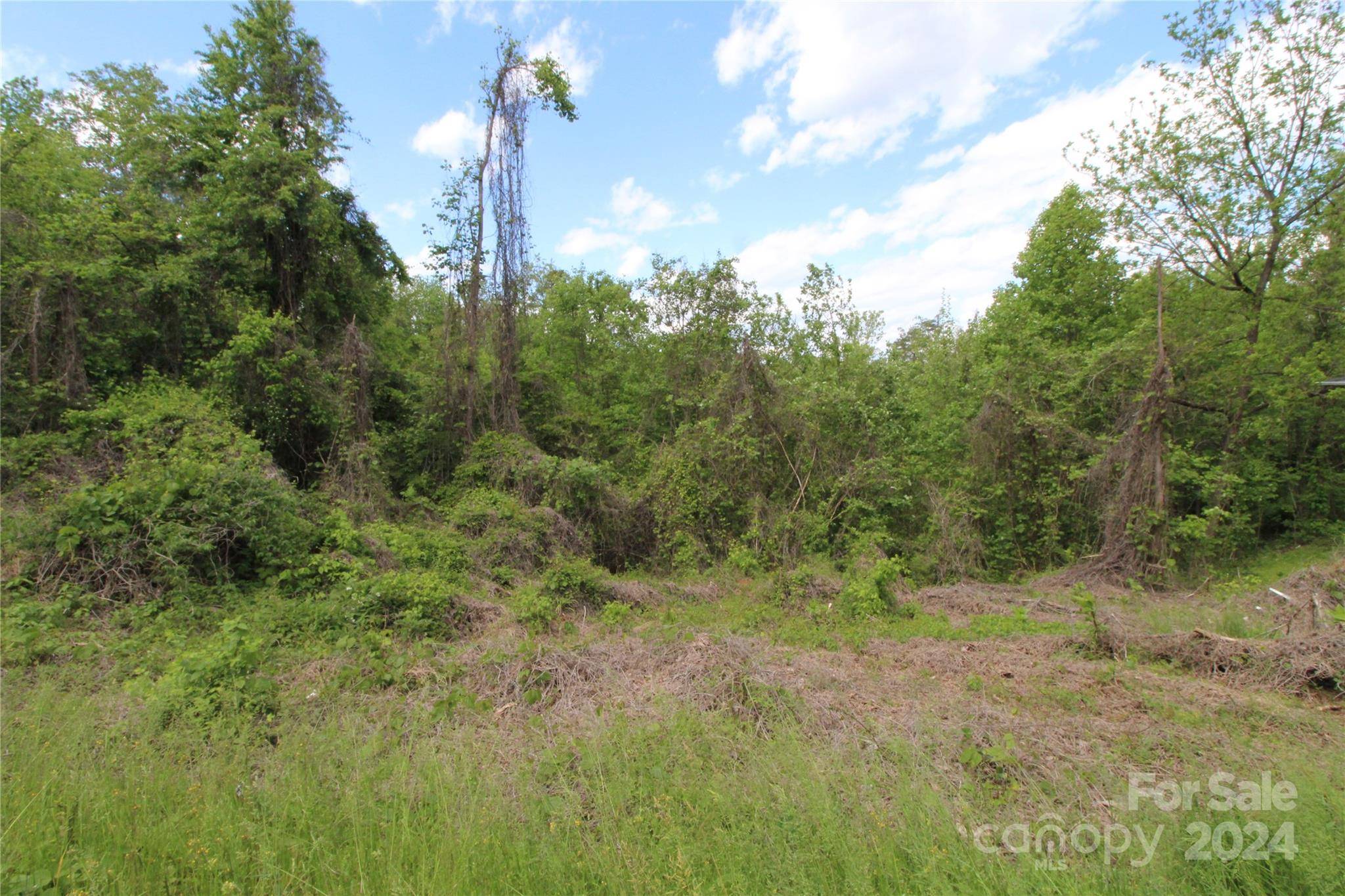 Lenoir, NC 28645,V/L Sharon AVE