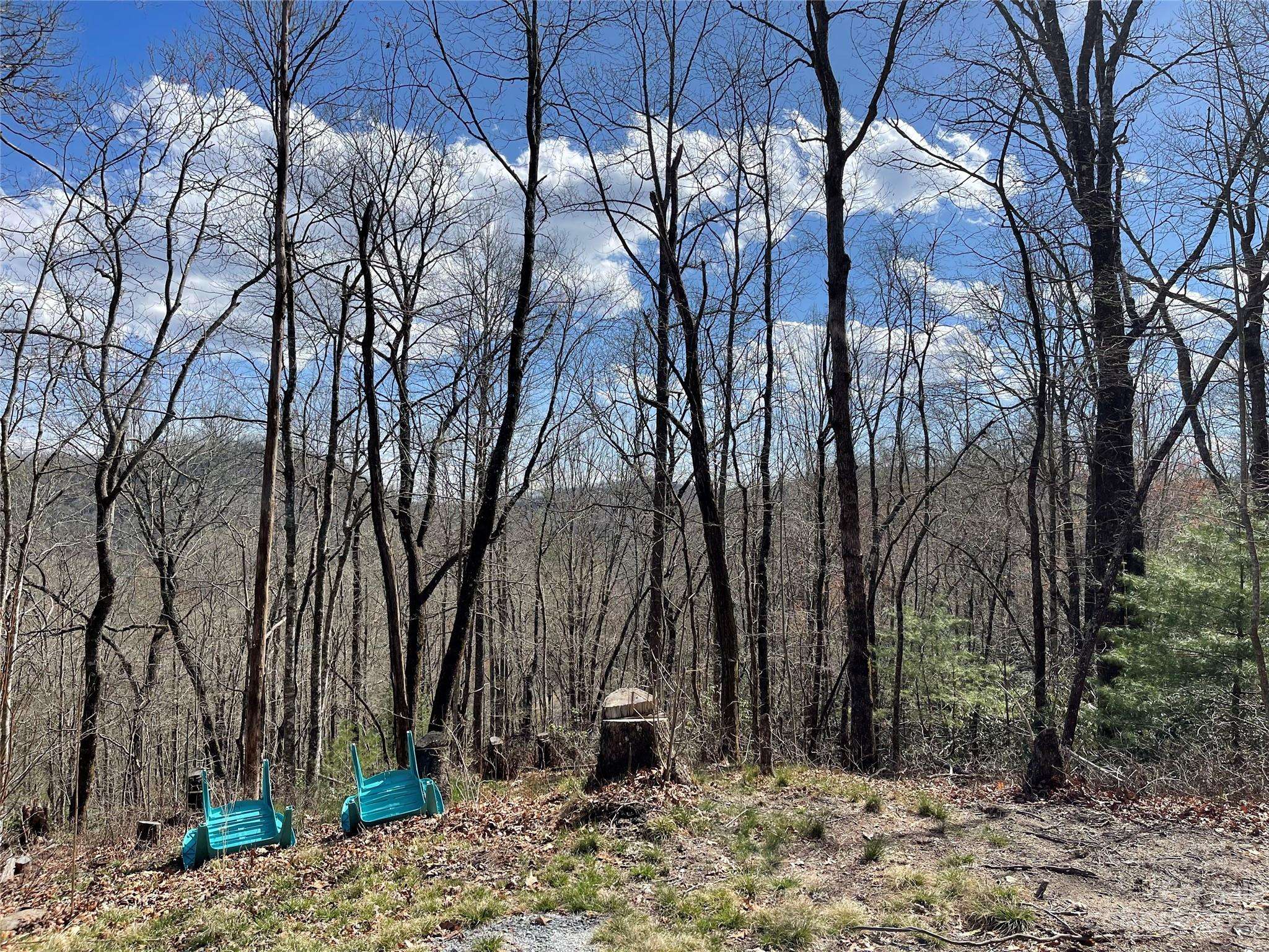 Brevard, NC 28712,Lot 66 Sandy LN