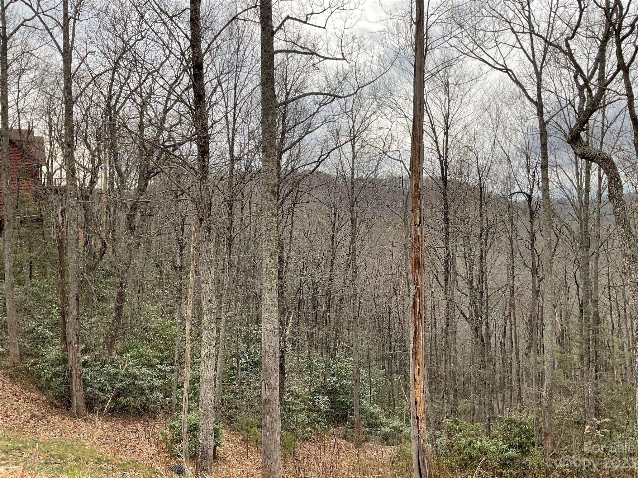 Boone, NC 28607,Lot 31 Boulder Cay RD