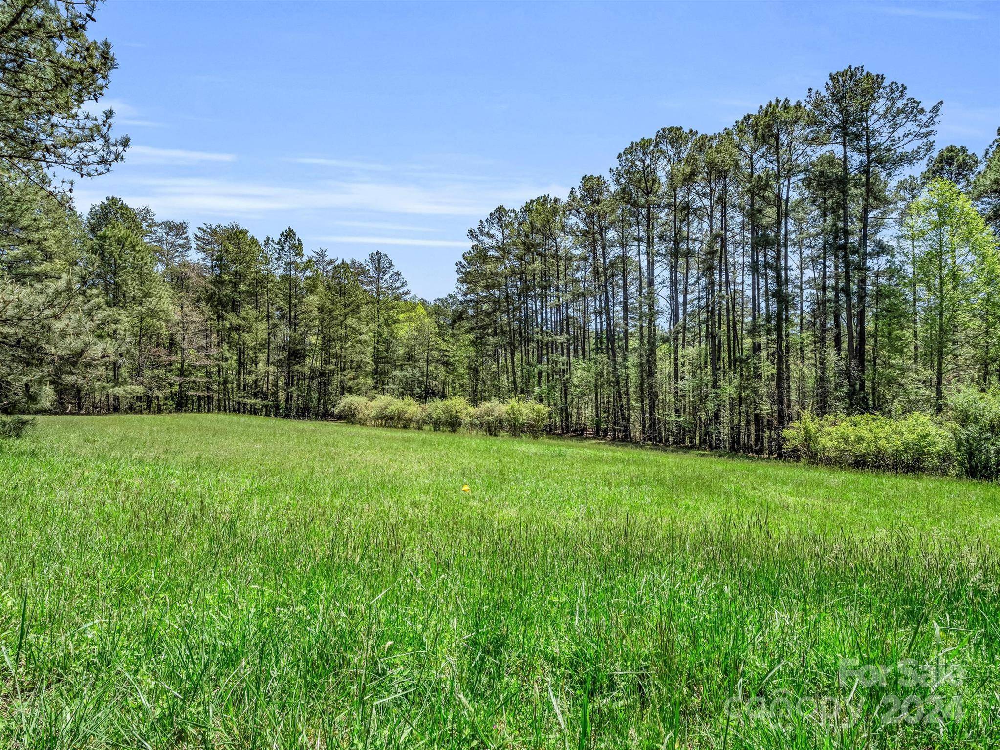 Tryon, NC 28782,241 Pine Field DR