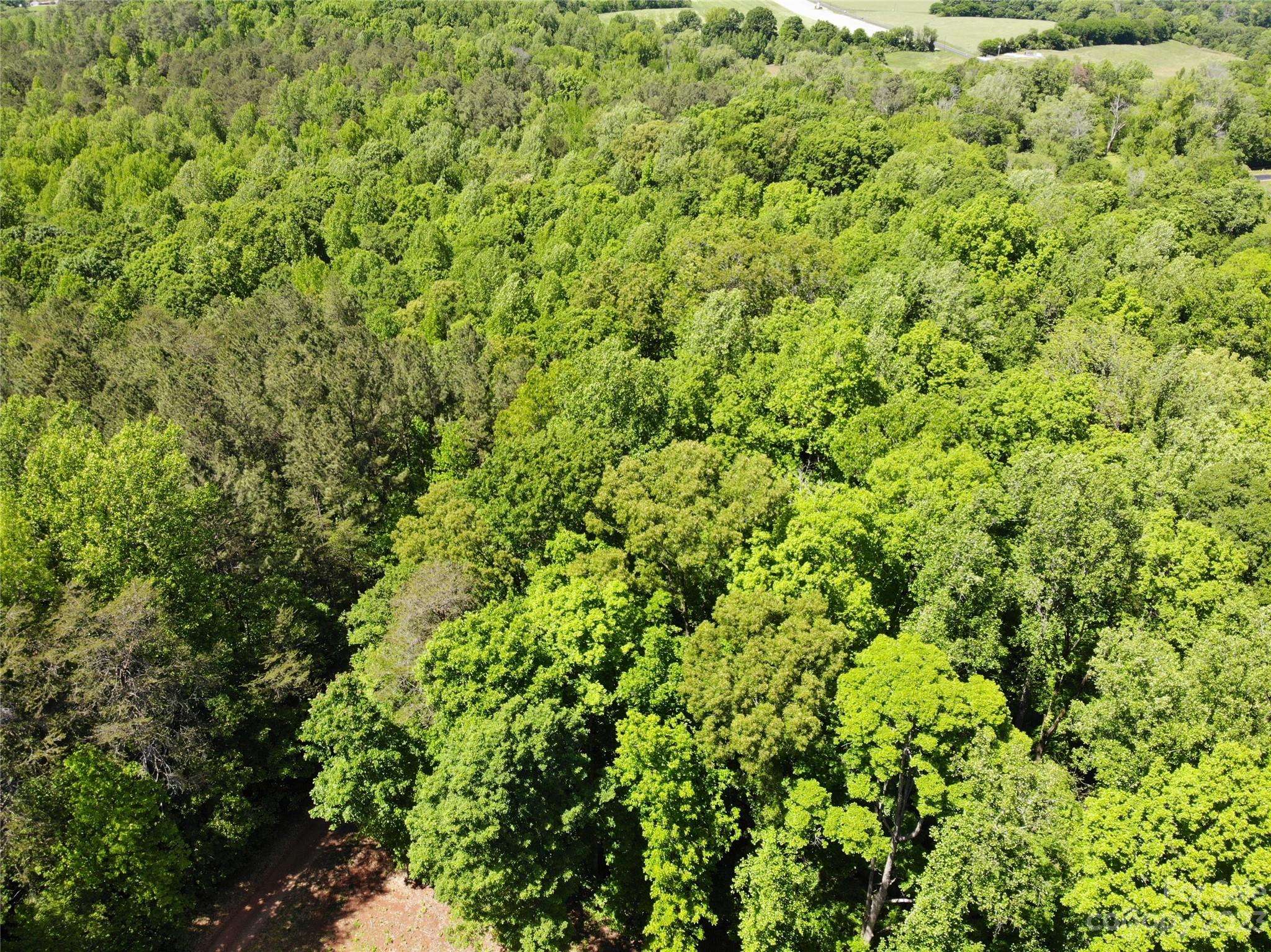 Lincolnton, NC 28092,#168 Rolling RD