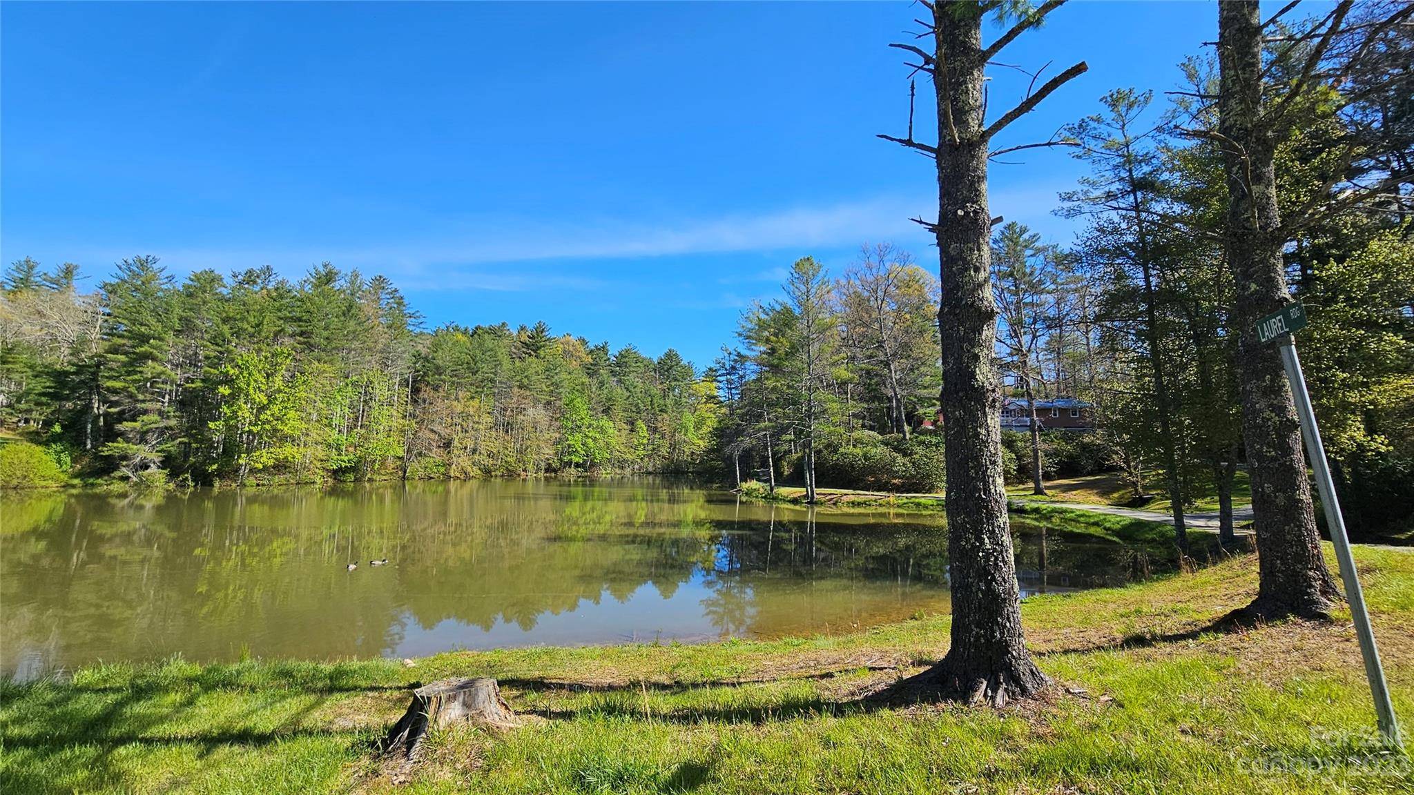 Glade Valley, NC 28627,182 Laurel RDG