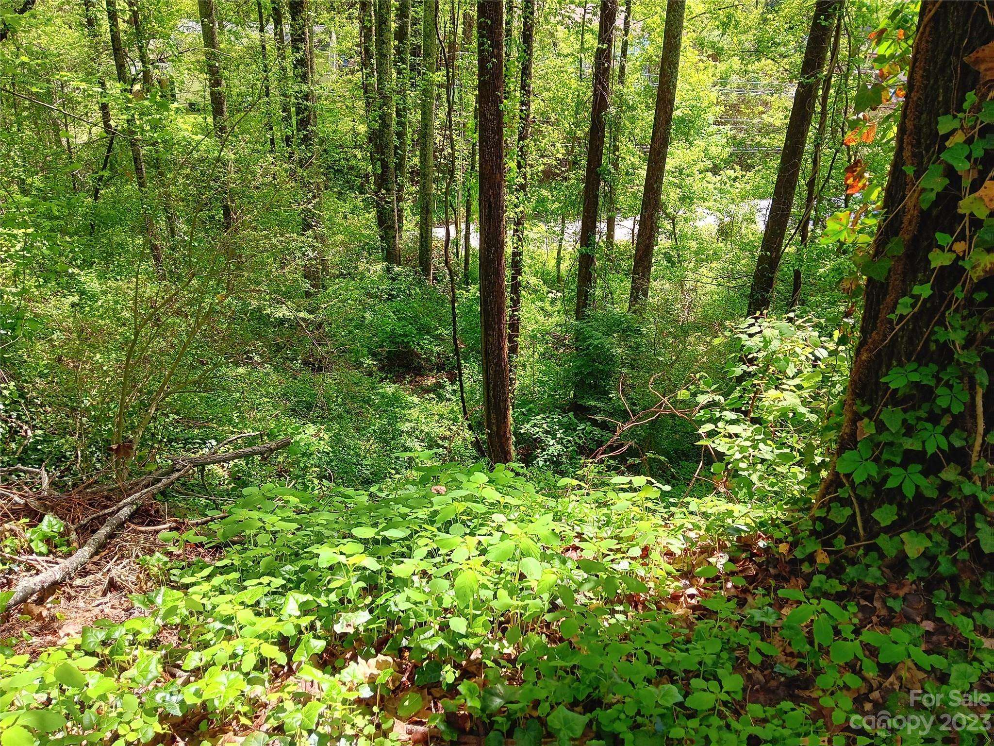 Hendersonville, NC 28792,TBD Greenbriar WAY