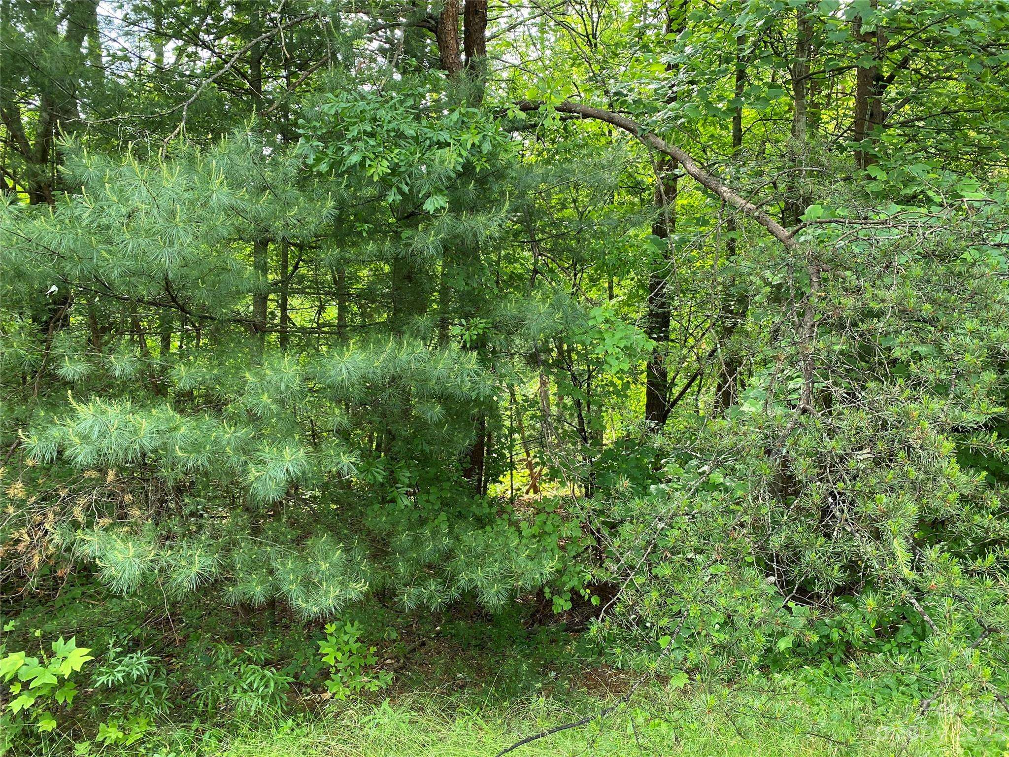 Rutherfordton, NC 28139,Lot 24 Sherry ST