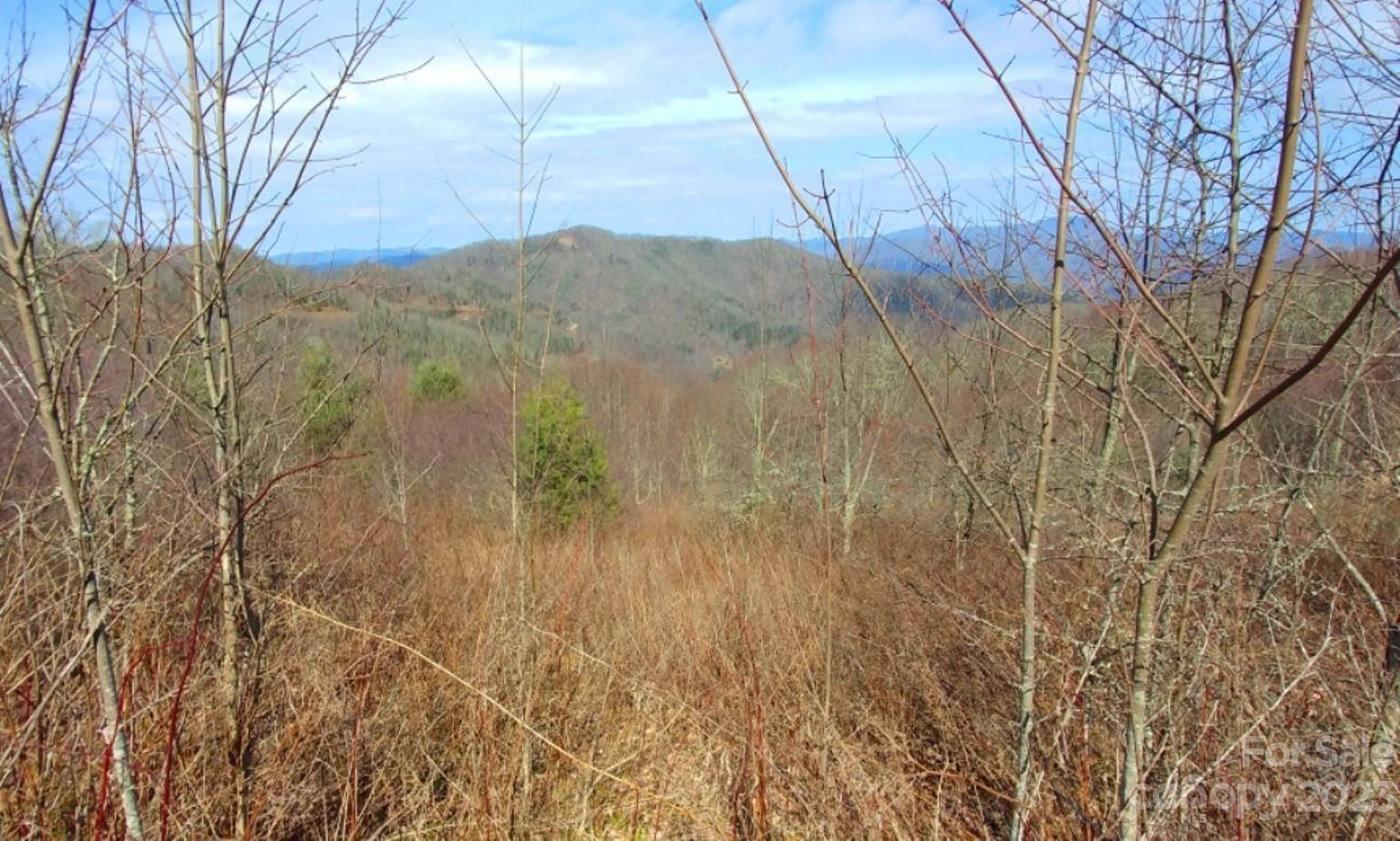 Waynesville, NC 28785,382 Adcock Mountain RD #6B