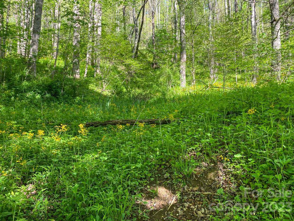 Creston, NC 28615,TBD Stonegate LN #6