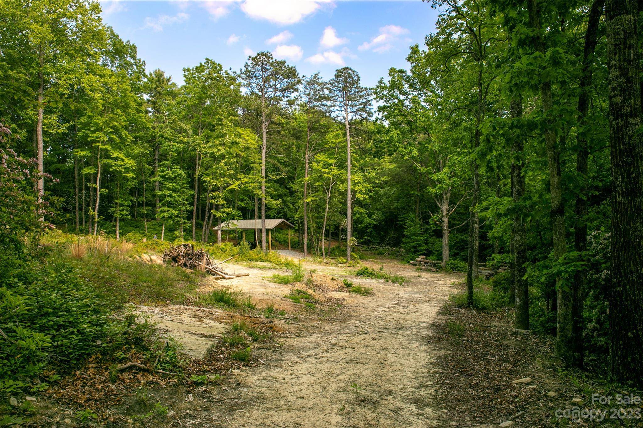 Cedar Mountain, NC 28718,862 Solomon Jones RD #Tract B