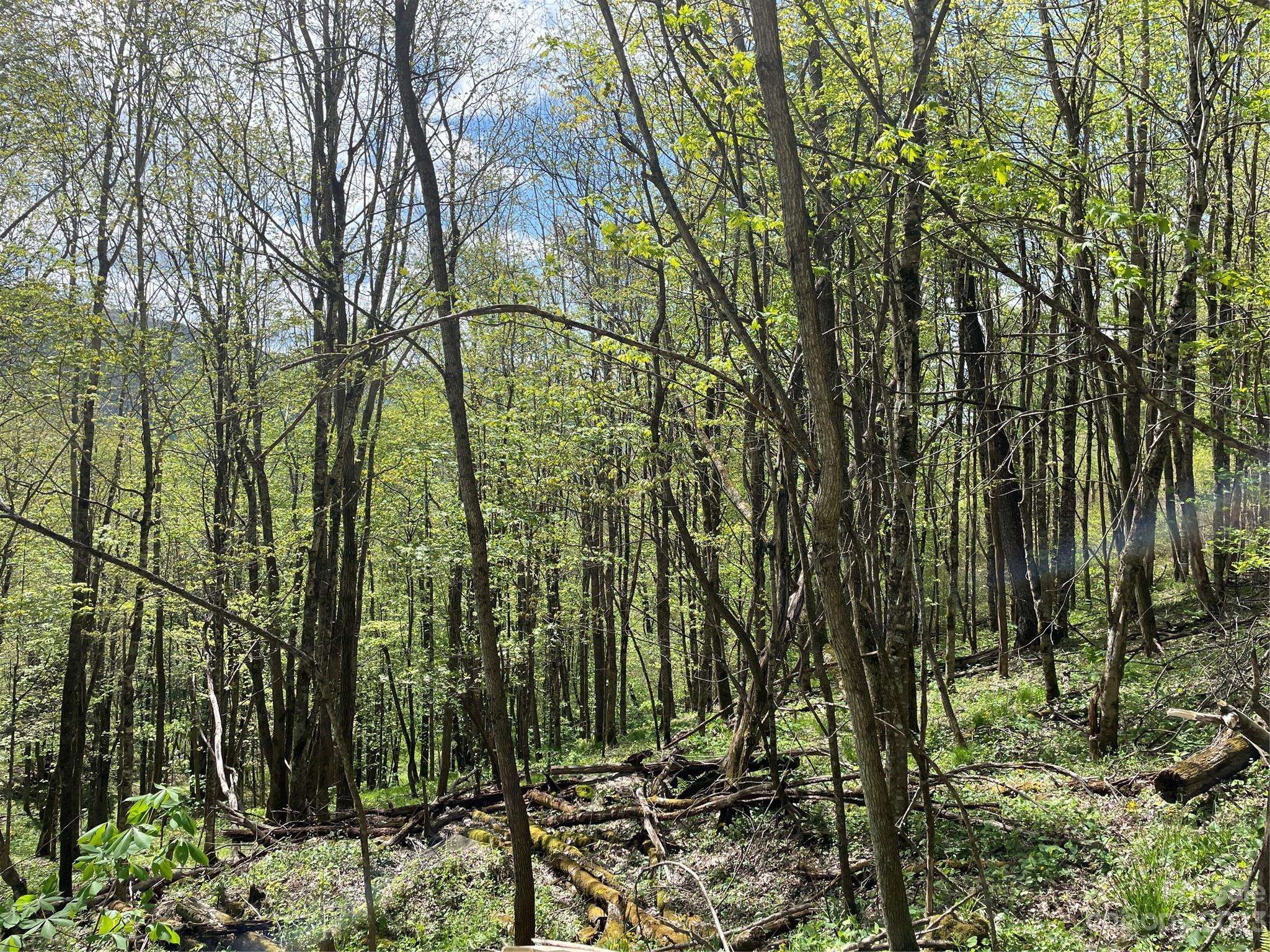 Bakersville, NC 28705,000 Peregrine LN #Lot C