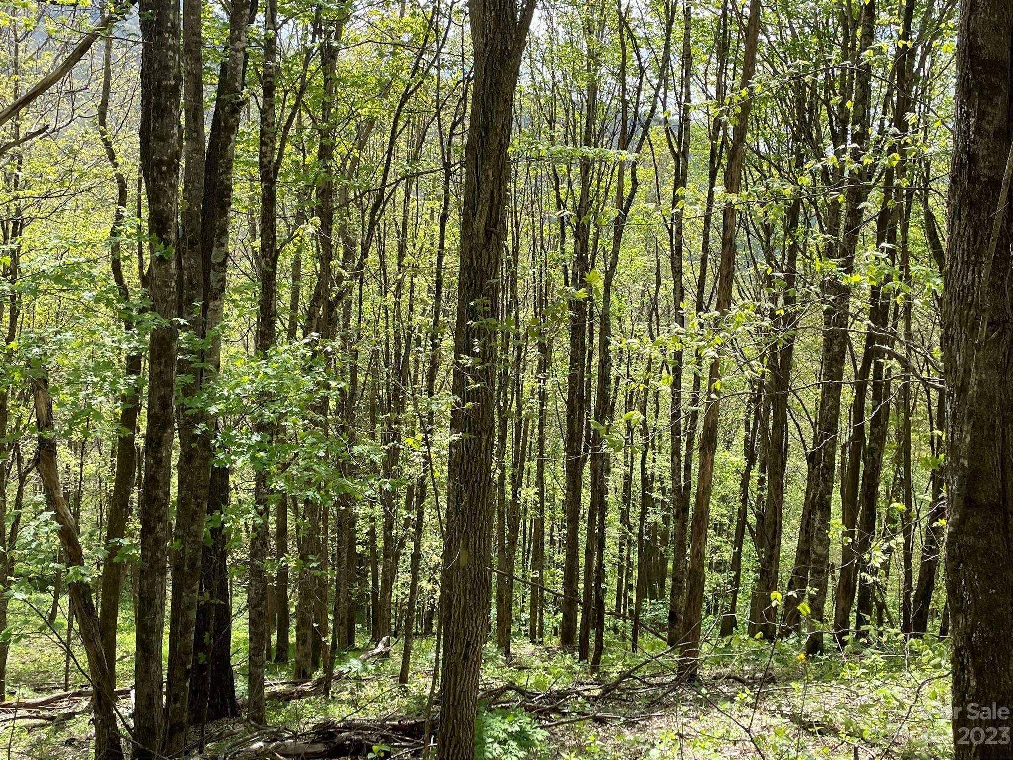 Bakersville, NC 28705,000 Peregrine LN #Lot D