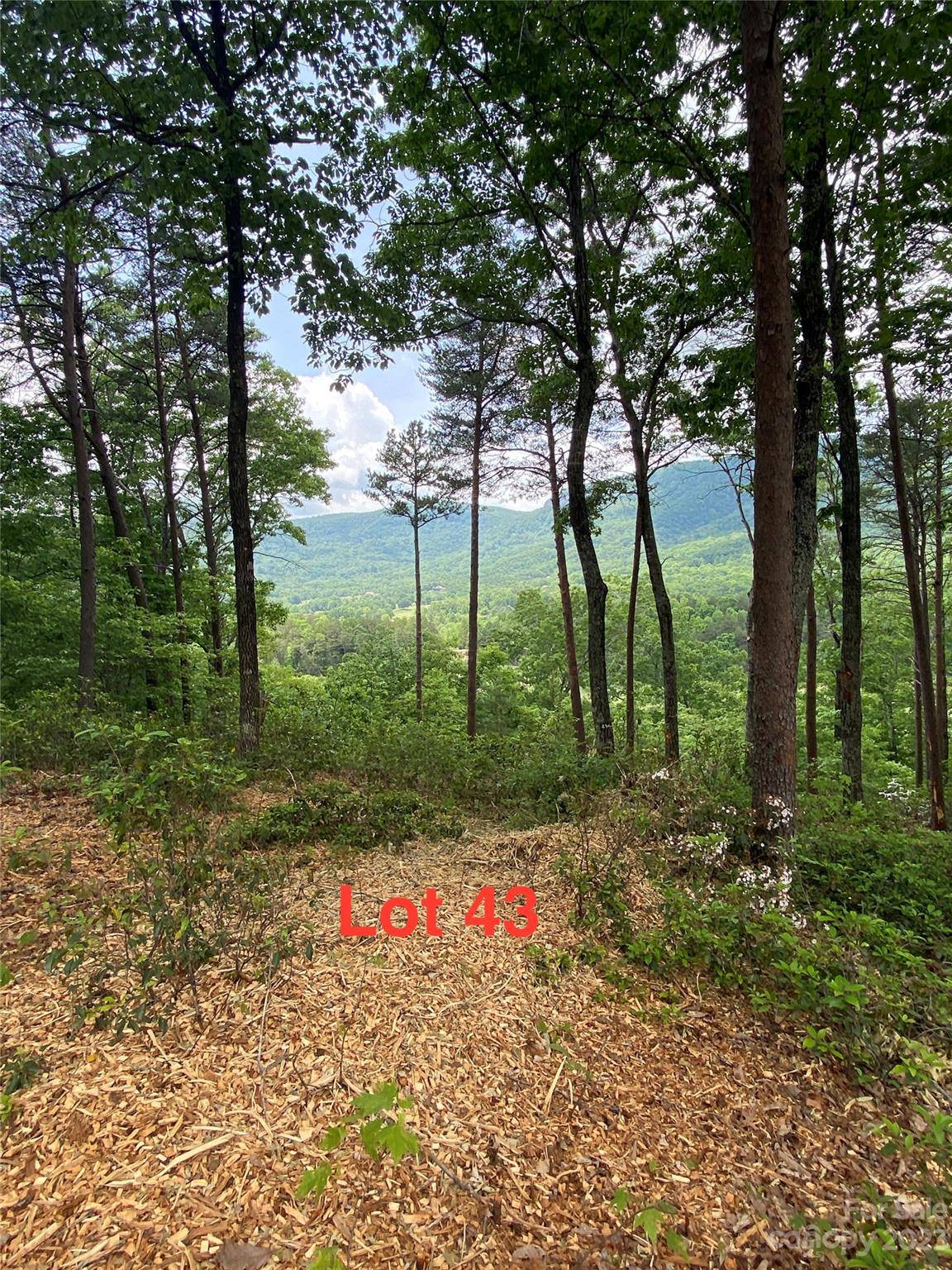 Mill Spring, NC 28756,LOT 43 Deep Gap Farm RD E