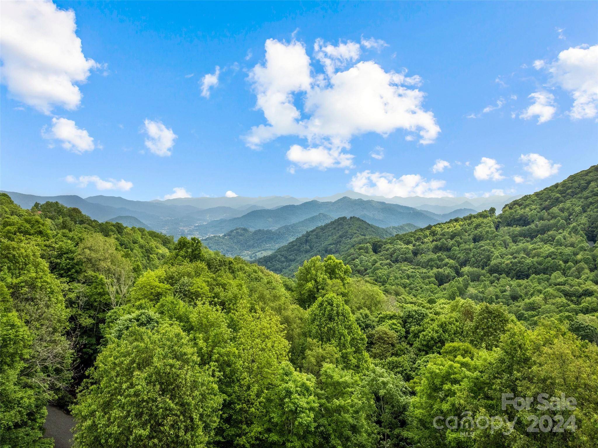 Maggie Valley, NC 28751,1230 Asgi TRL