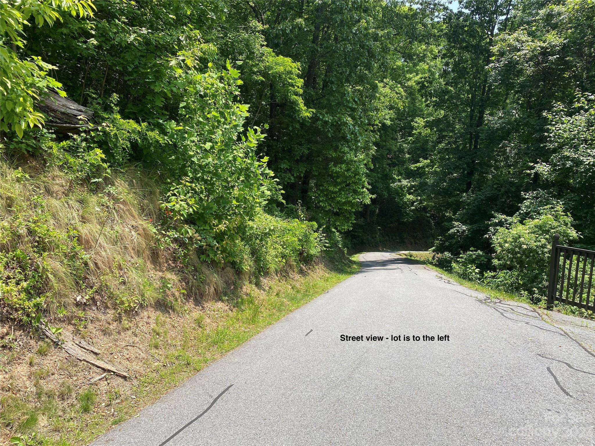 Canton, NC 28716,Lot 21 Powderhorn RDG