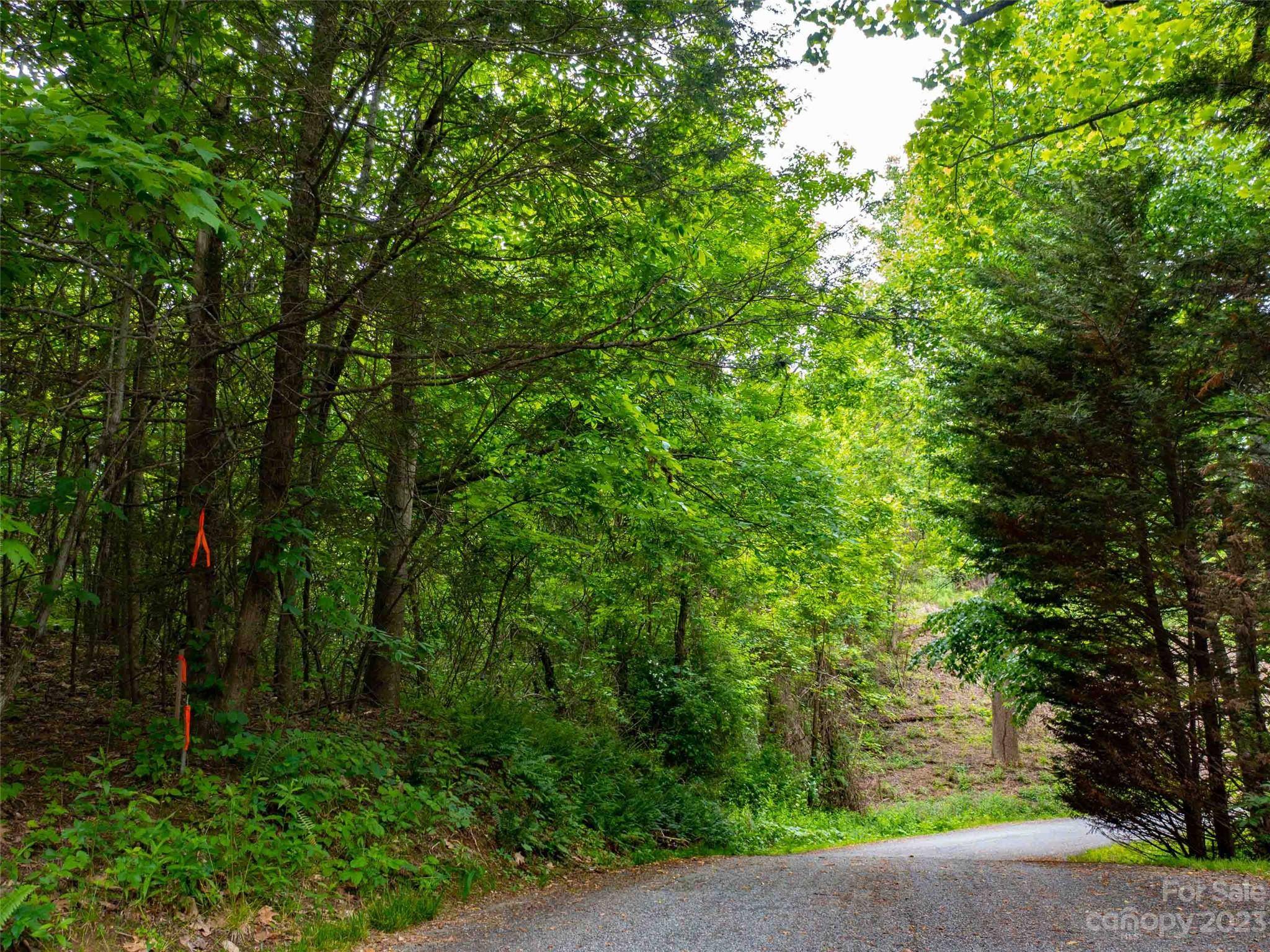 Laurel Park, NC 28739,LOT A Deerwood LN