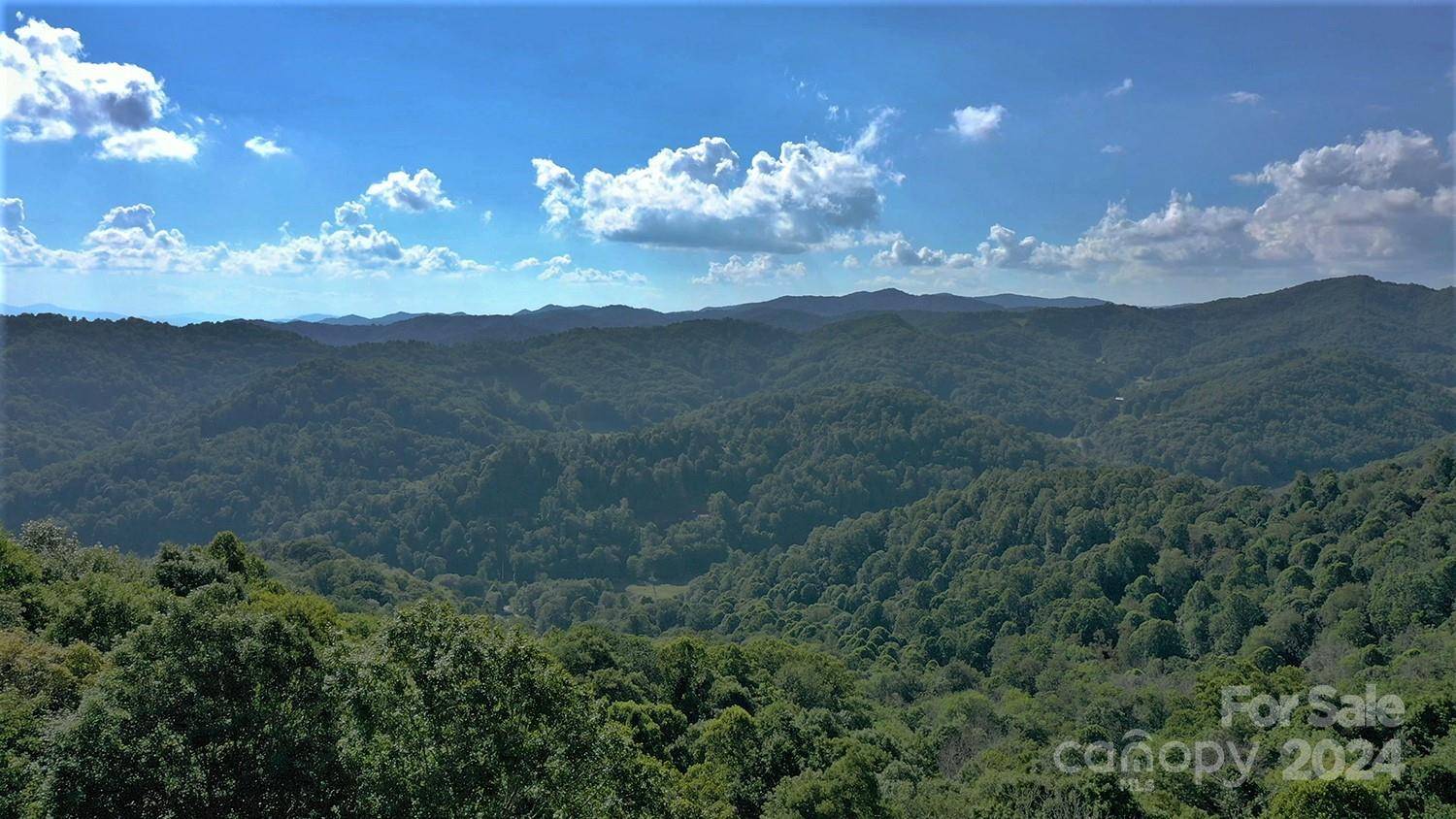 Mars Hill, NC 28754,000 Wolf Ridge RD #Lot 15