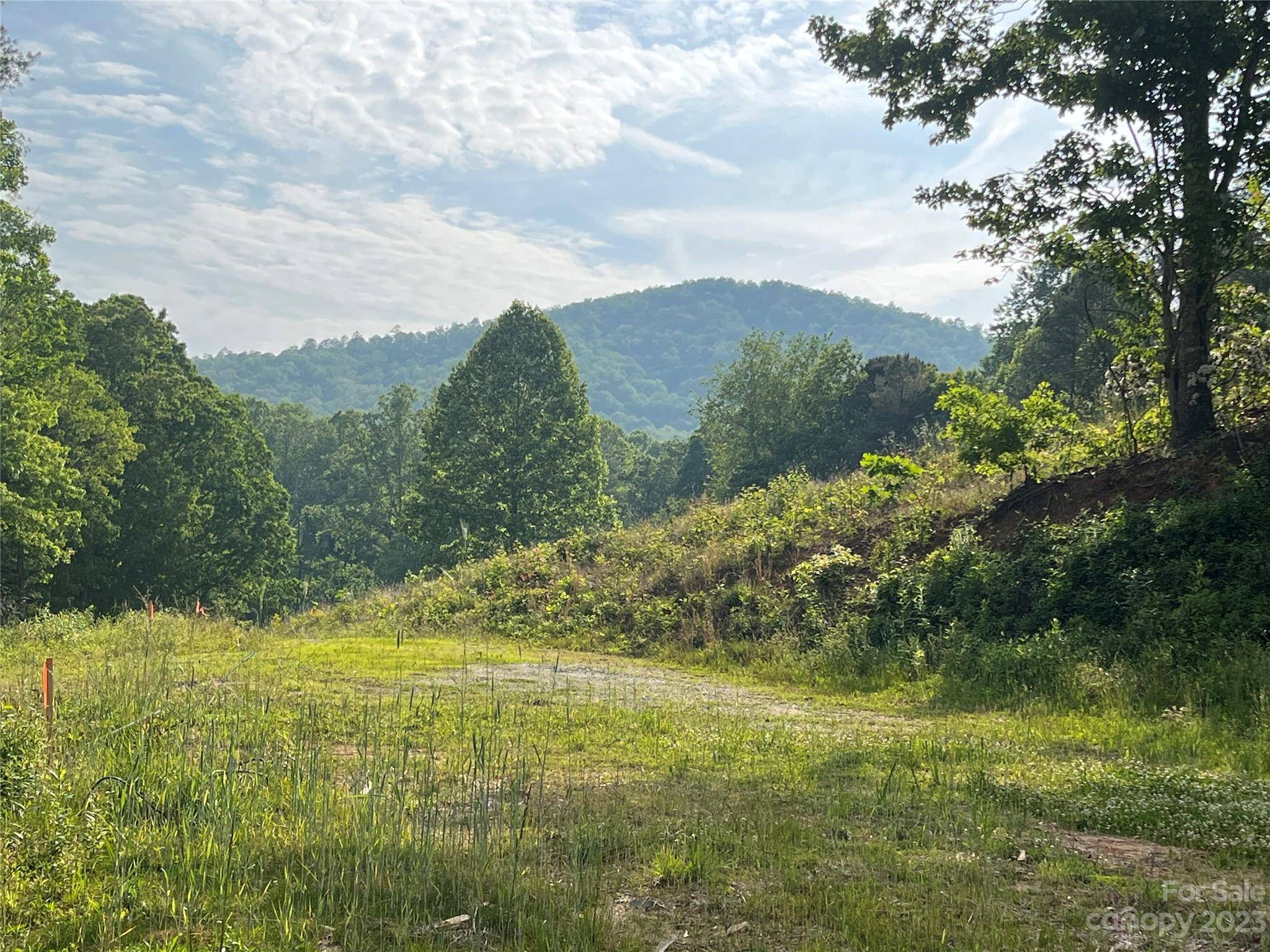 Brevard, NC 28712,76 Dillingham RD