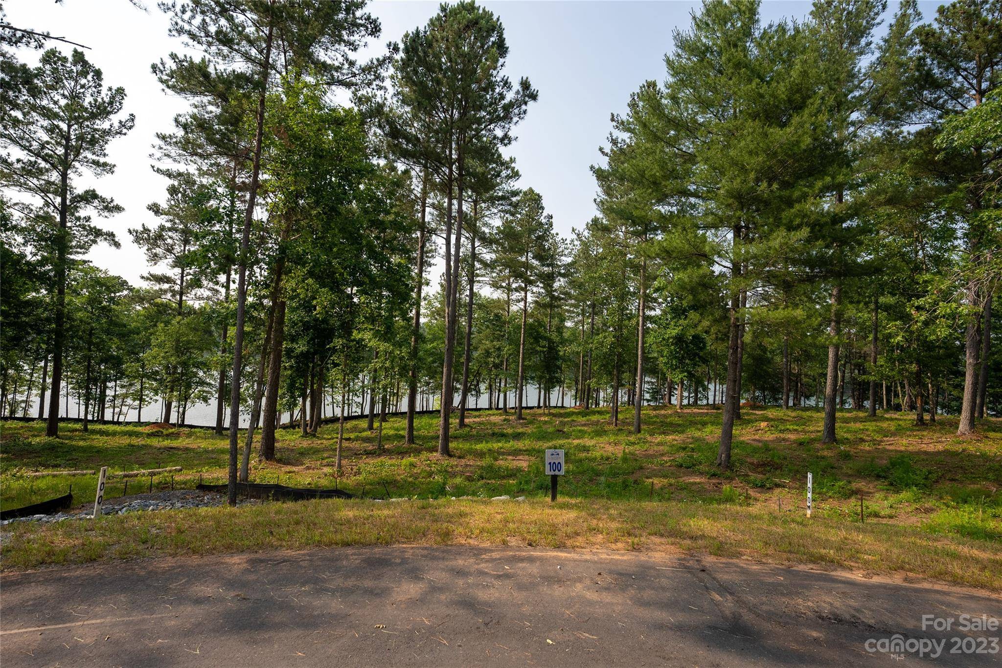 Connelly Springs, NC 28612,Lot 100 Decker RD