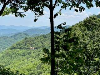 Maggie Valley, NC 28751,C76 Amanugi TRL #C76